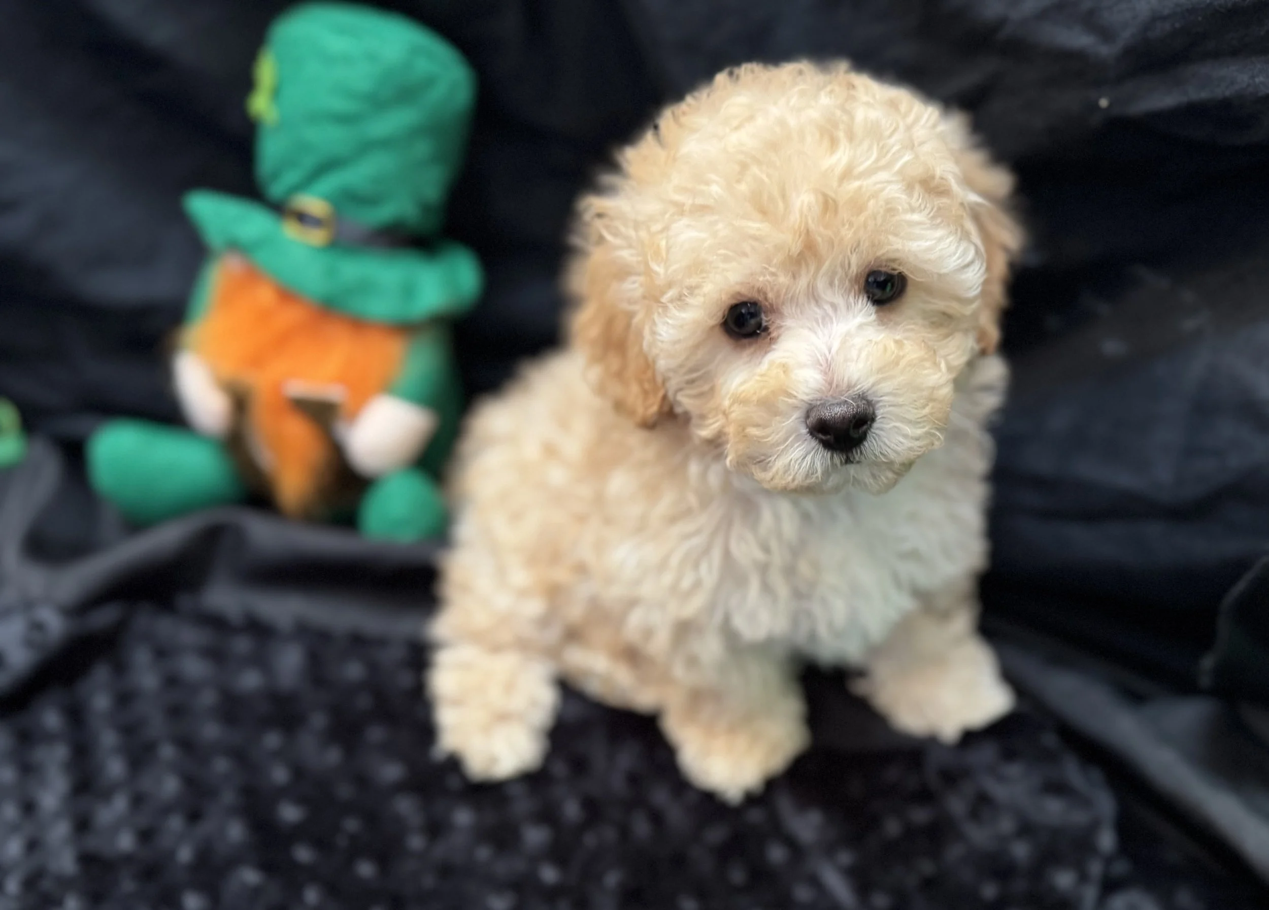 Photo Feb 22 2026, 11 59 01 AM.jpg