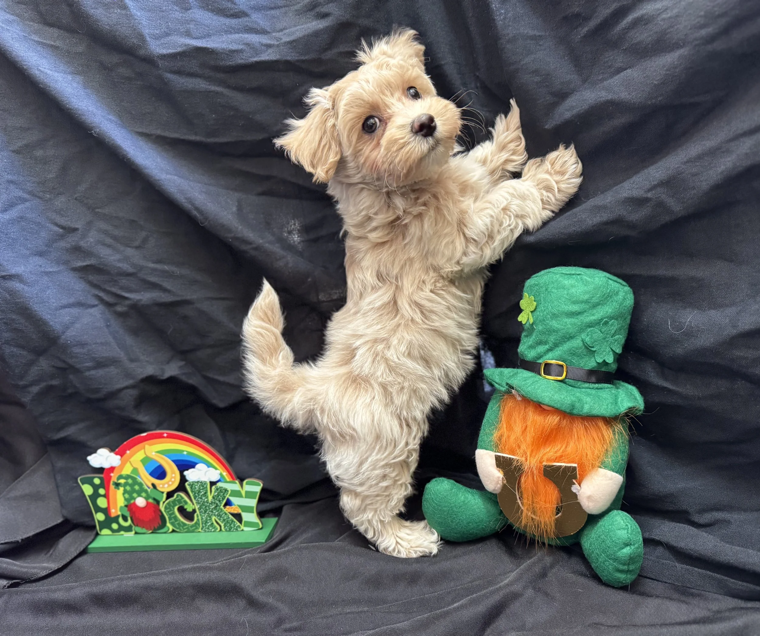 Photo Feb 22 2026, 11 32 10 AM.jpg