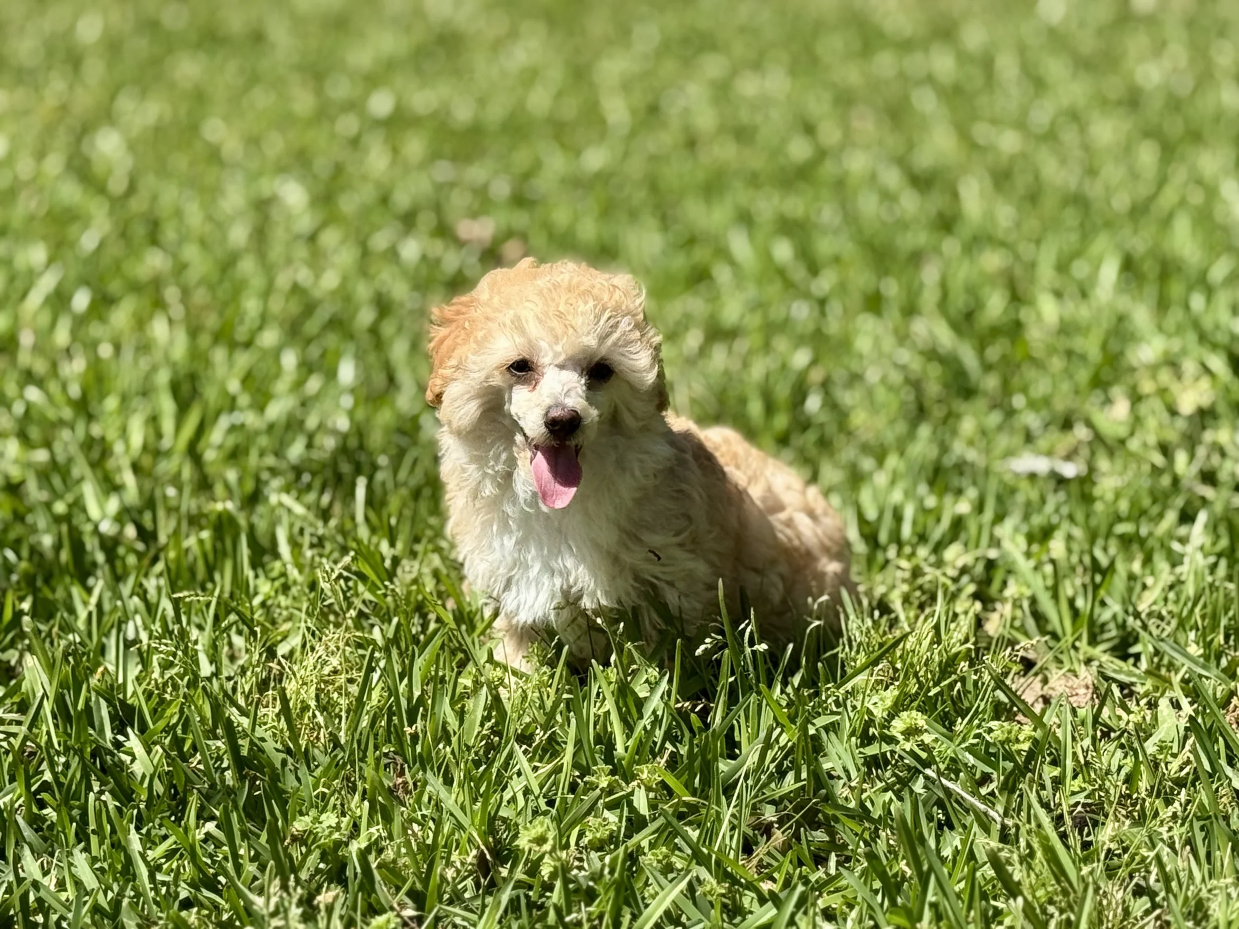 Photo Mar 22 2026, 2 37 41 PM.jpg