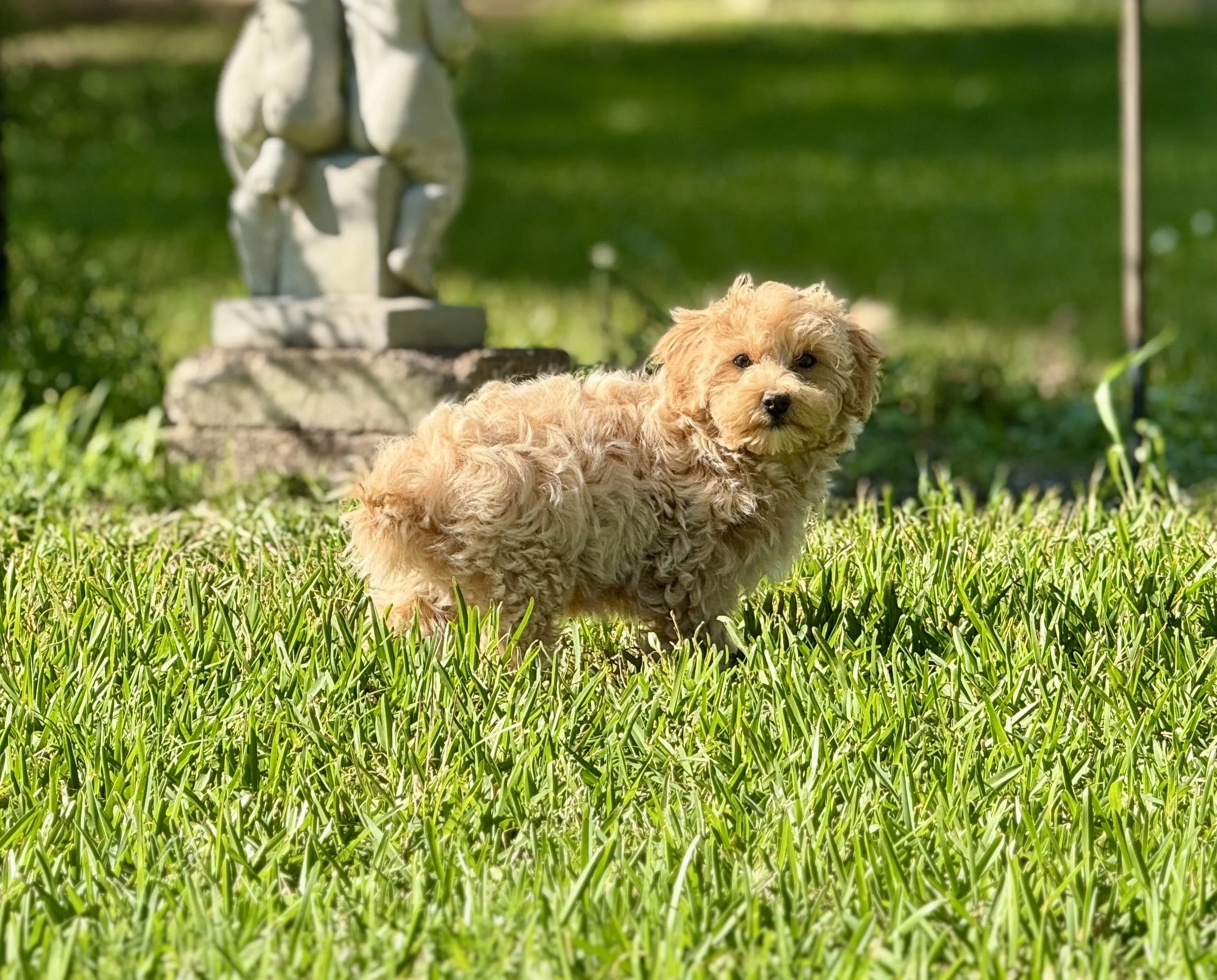 Photo Mar 22 2026, 5 01 40 PM.jpg