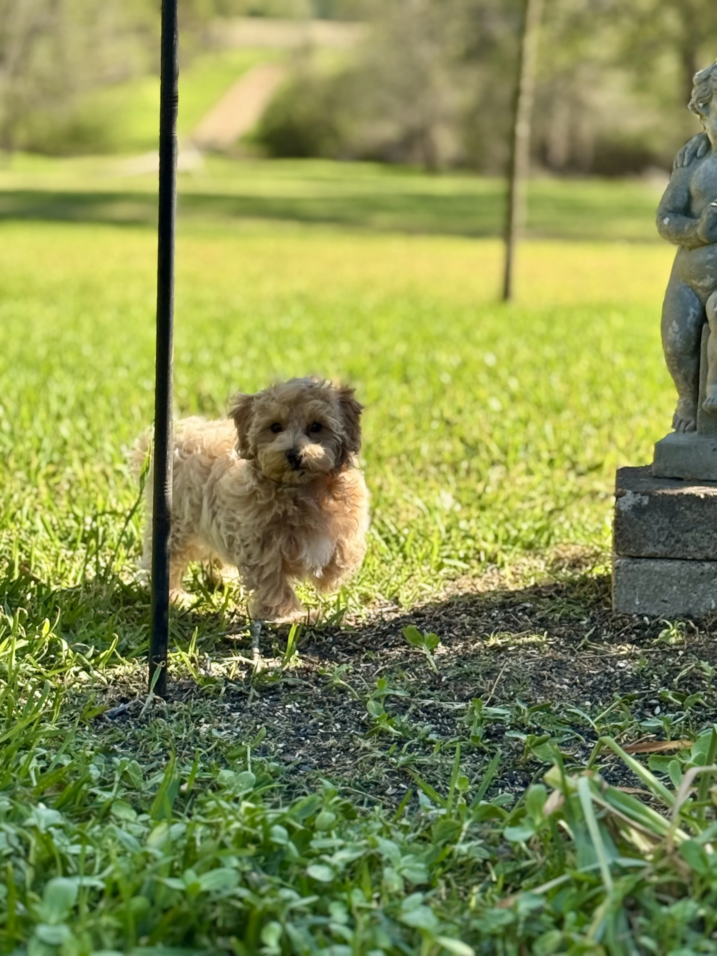 Photo Mar 22 2026, 5 02 17 PM.jpg