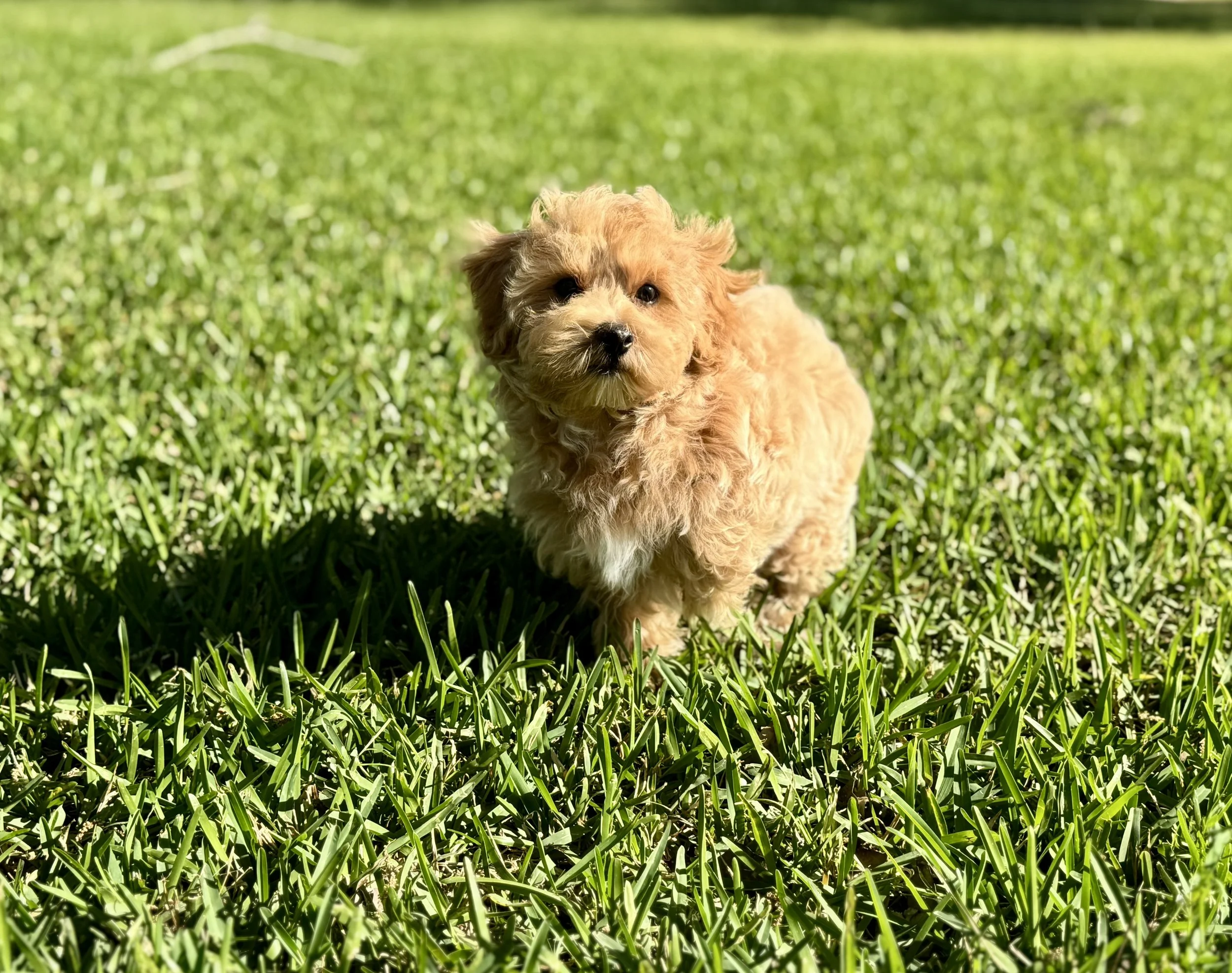 Photo Mar 22 2026, 5 00 41 PM.jpg