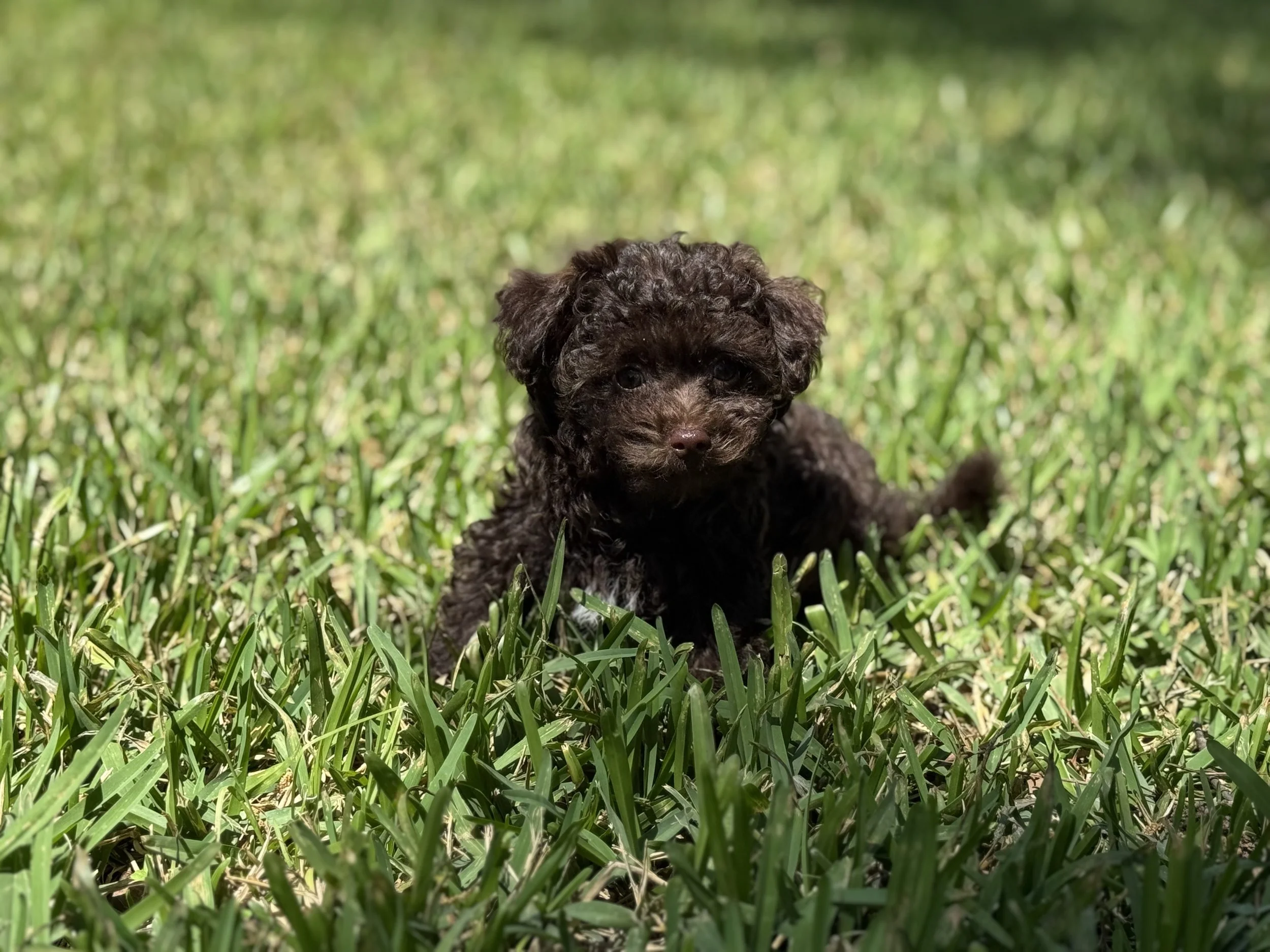 Photo Mar 22 2026, 2 00 23 PM.jpg