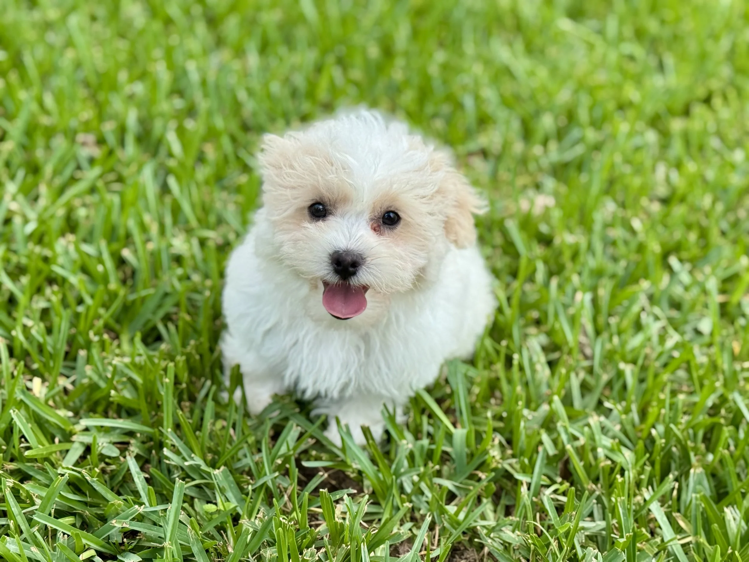 Photo Apr 27 2026, 12 20 35 PM.jpg