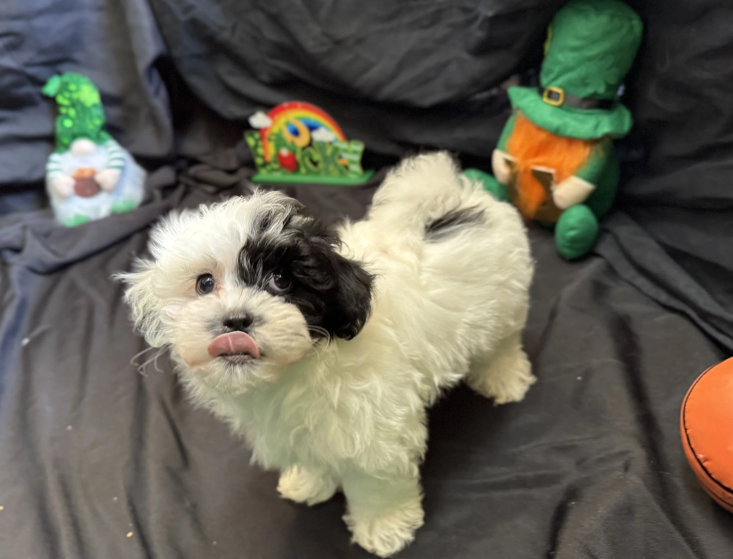 Photo Feb 22 2026, 11 39 47 AM.jpg