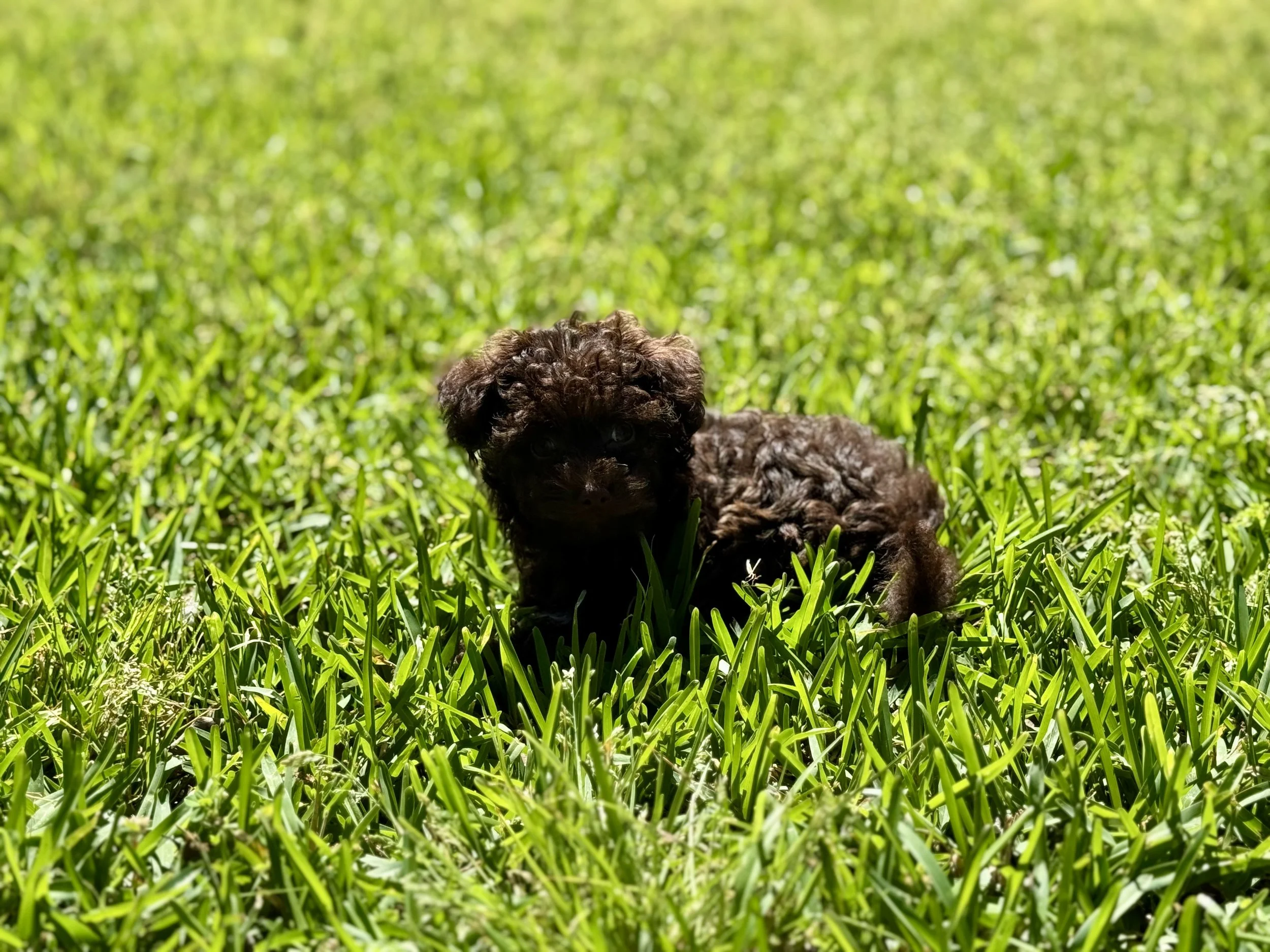 Photo Mar 22 2026, 1 59 31 PM.jpg