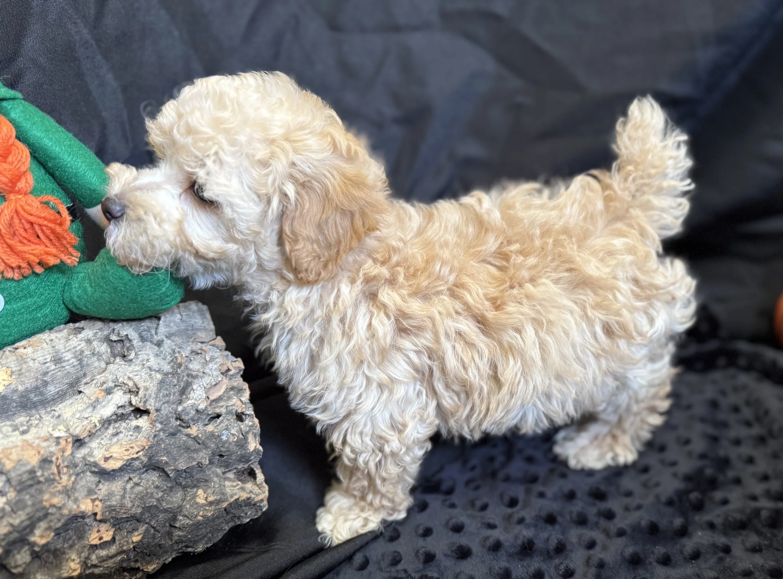 Photo Feb 22 2026, 11 59 30 AM.jpg