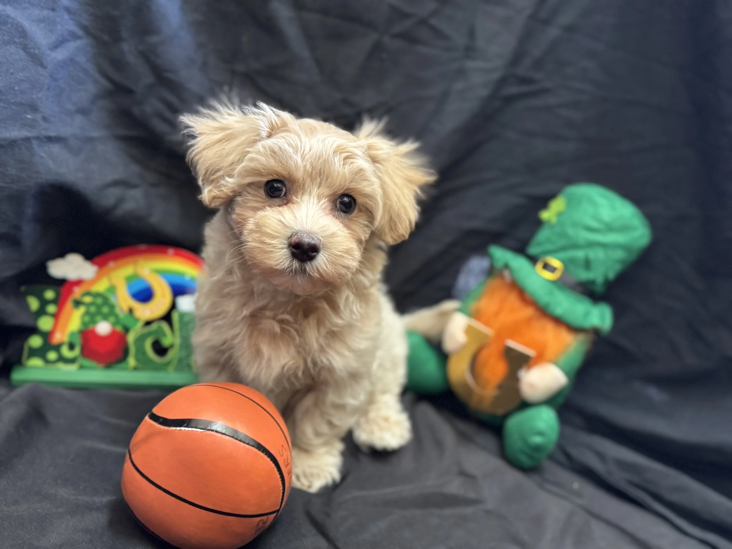 Photo Feb 22 2026, 11 28 49 AM.jpg