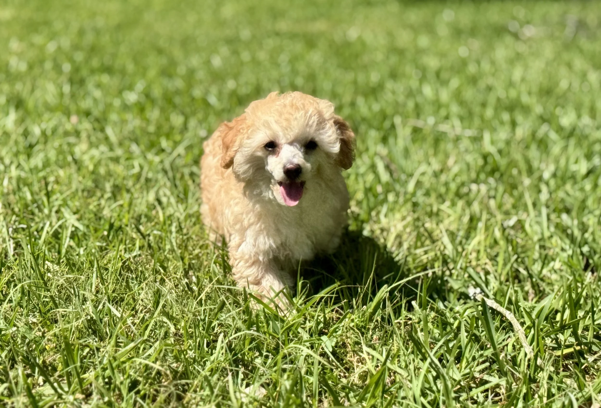 Photo Mar 22 2026, 2 33 29 PM.jpg