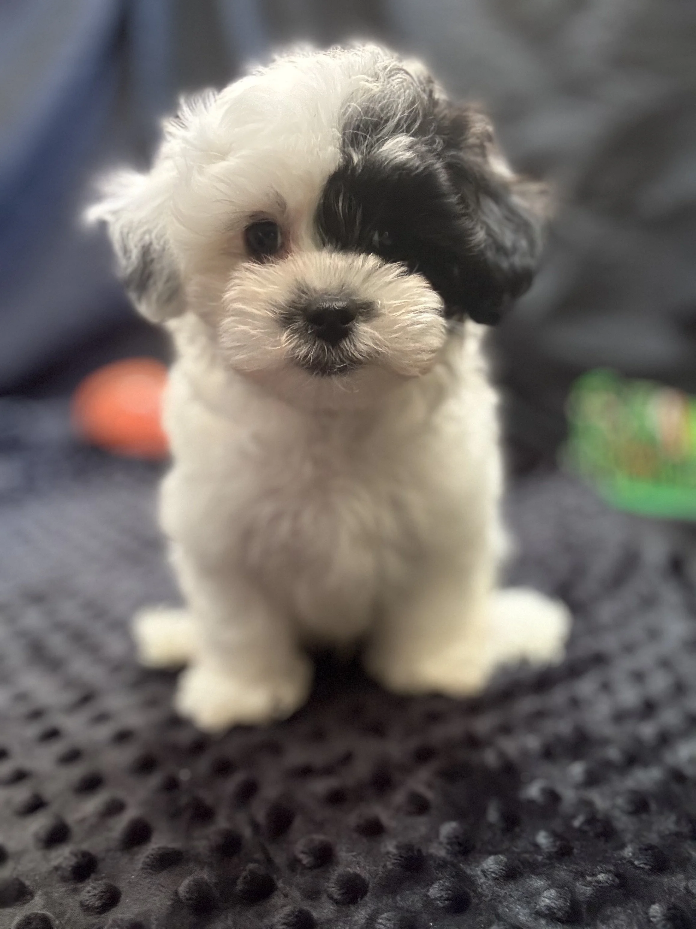 Photo Feb 22 2026, 11 54 28 AM.jpg