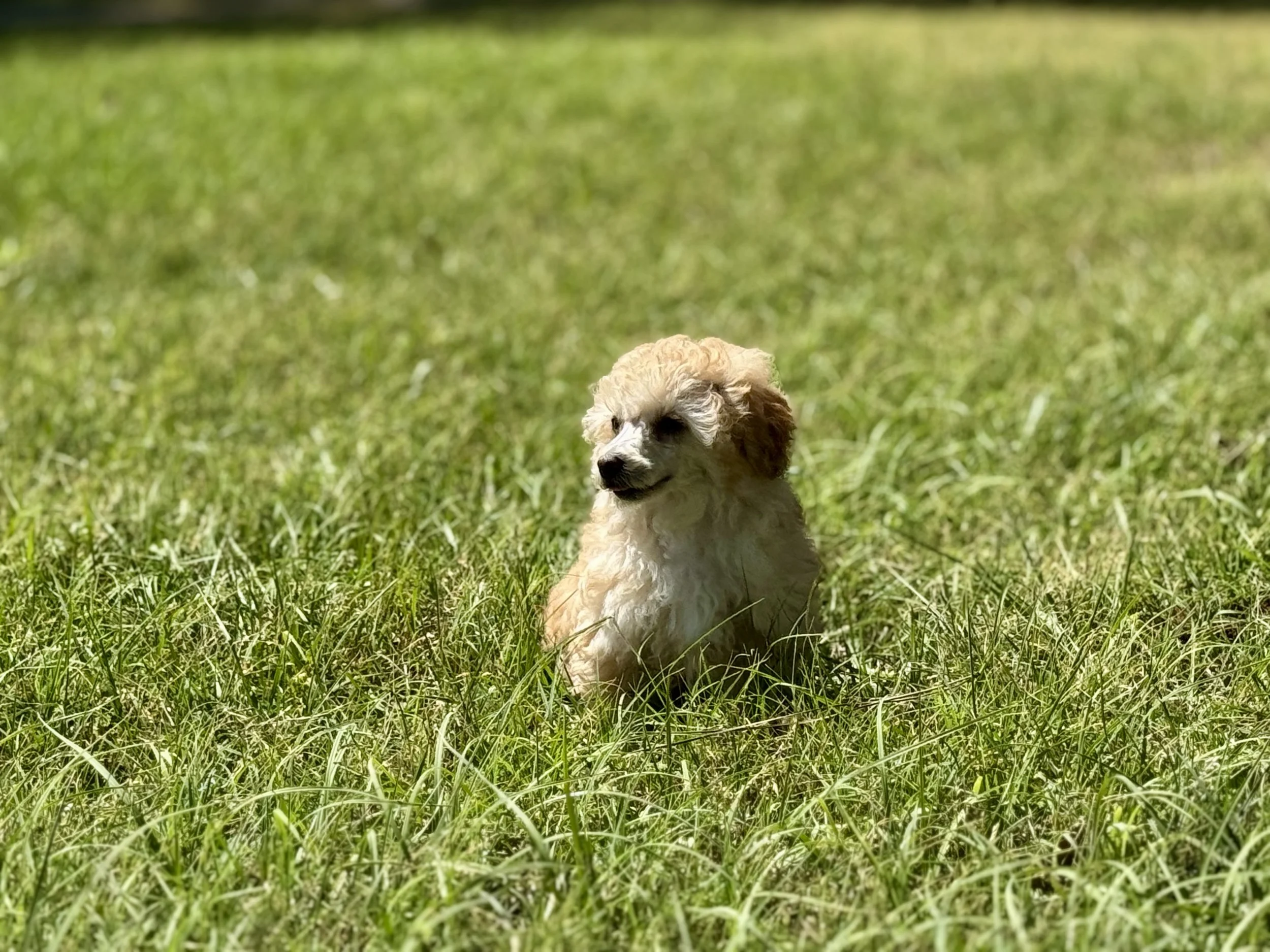 Photo Mar 22 2026, 2 35 07 PM.jpg