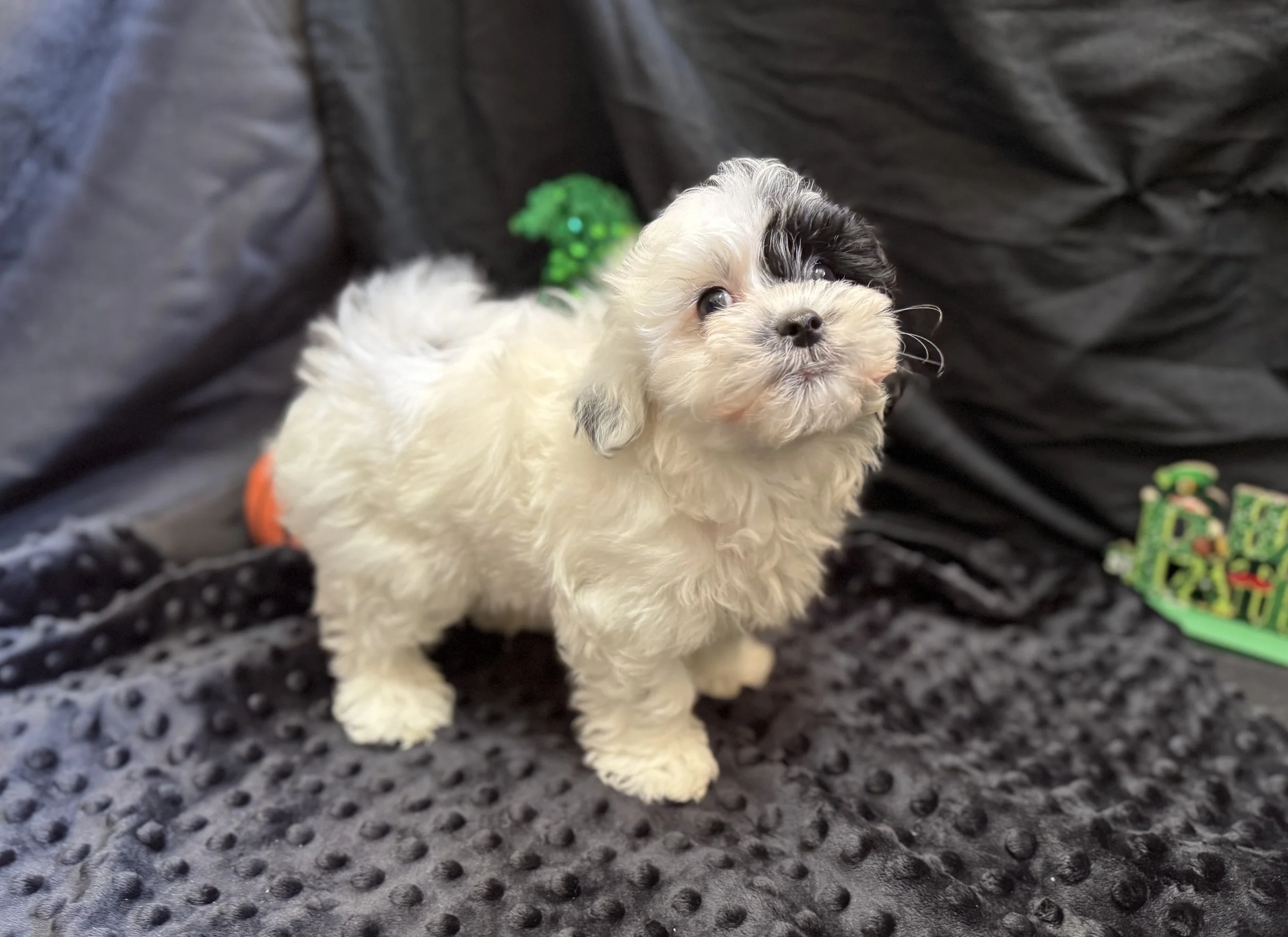 Photo Feb 22 2026, 11 52 13 AM.jpg