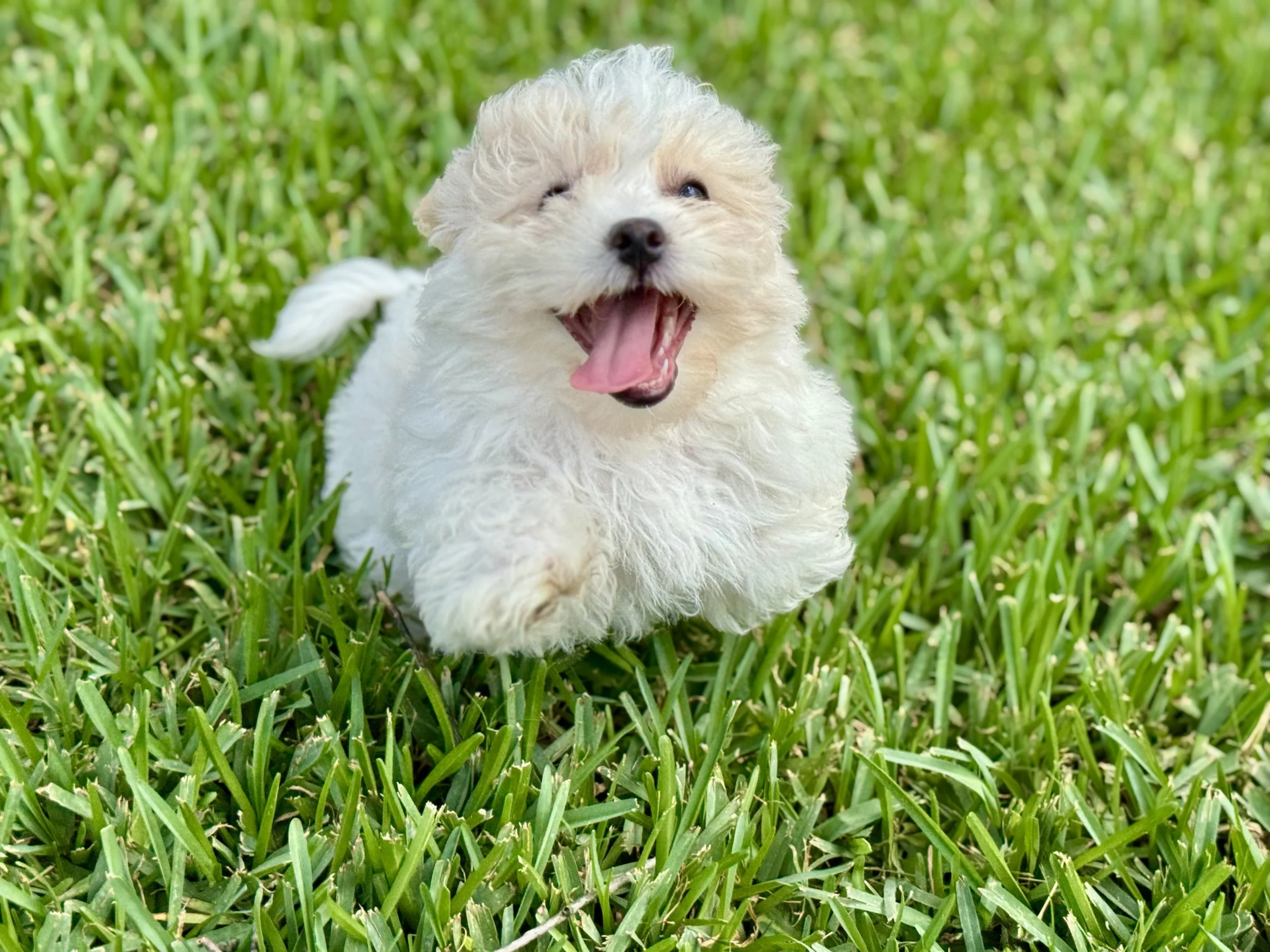 Photo Apr 27 2026, 12 23 26 PM.jpg