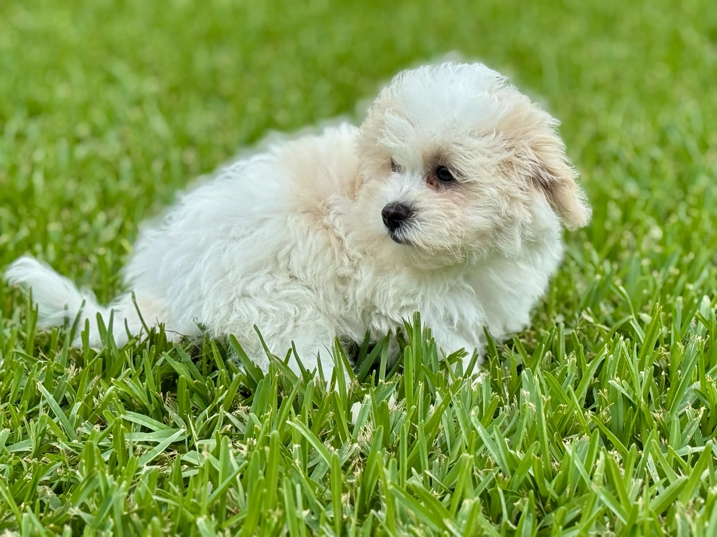 Photo Apr 27 2026, 12 15 09 PM.jpg