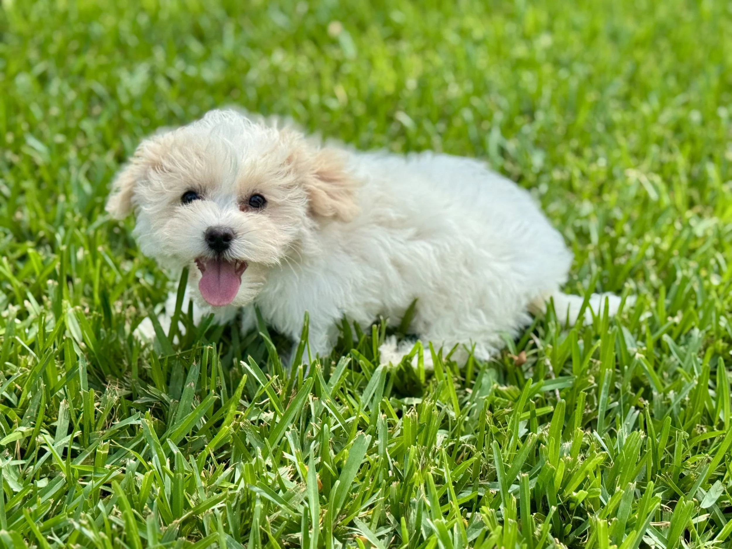 Photo Apr 27 2026, 12 23 44 PM.jpg