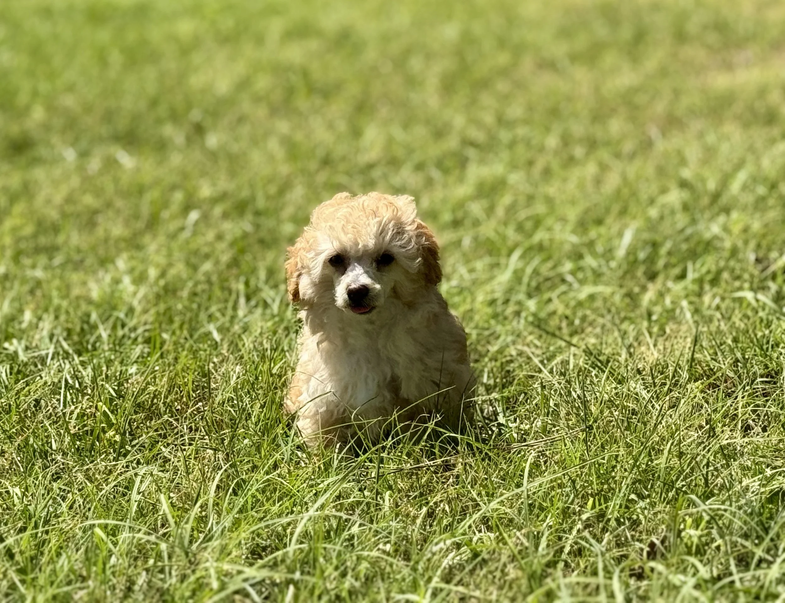 Photo Mar 22 2026, 2 35 02 PM.jpg