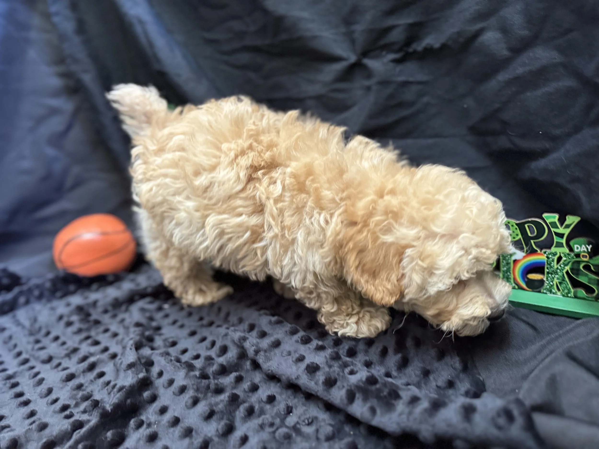 Photo Feb 22 2026, 11 58 06 AM.jpg