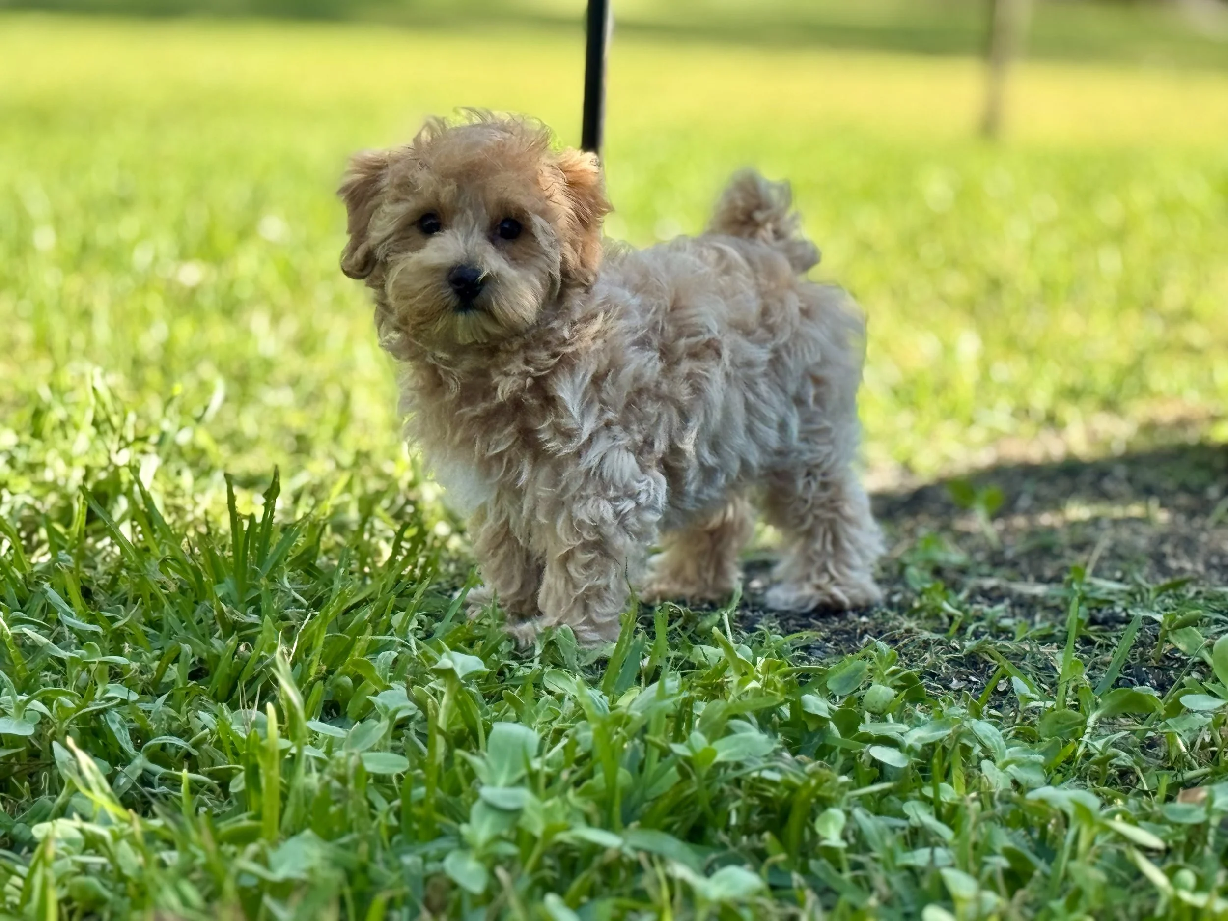 Photo Mar 22 2026, 5 02 47 PM.jpg