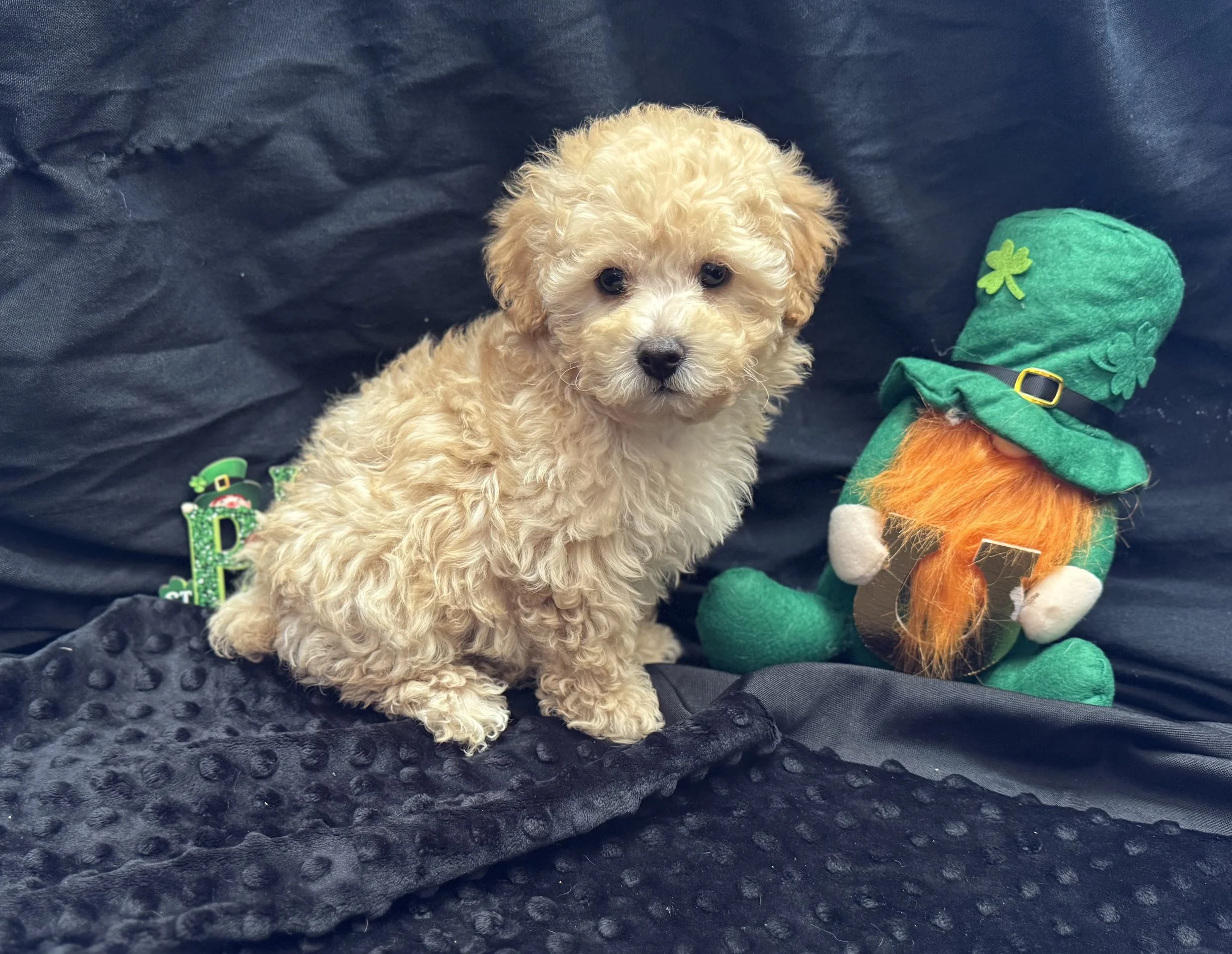 Photo Feb 22 2026, 11 58 37 AM.jpg