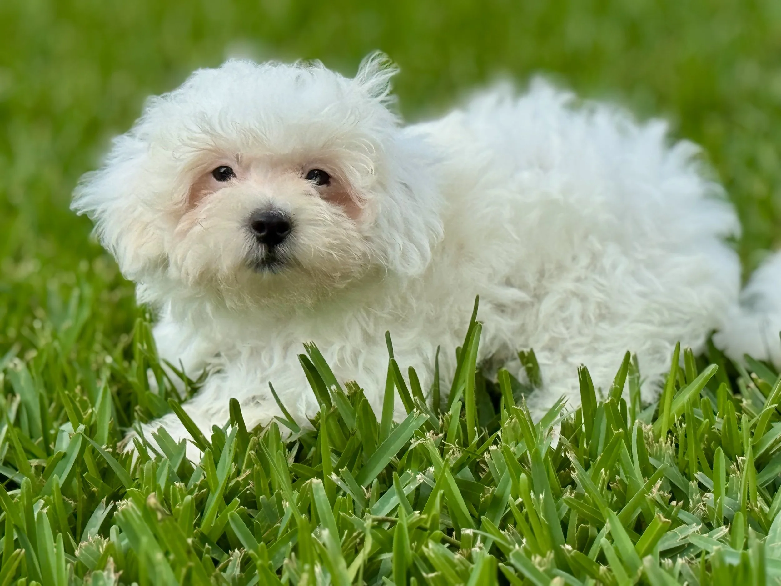 Photo Apr 27 2026, 12 25 24 PM.jpg