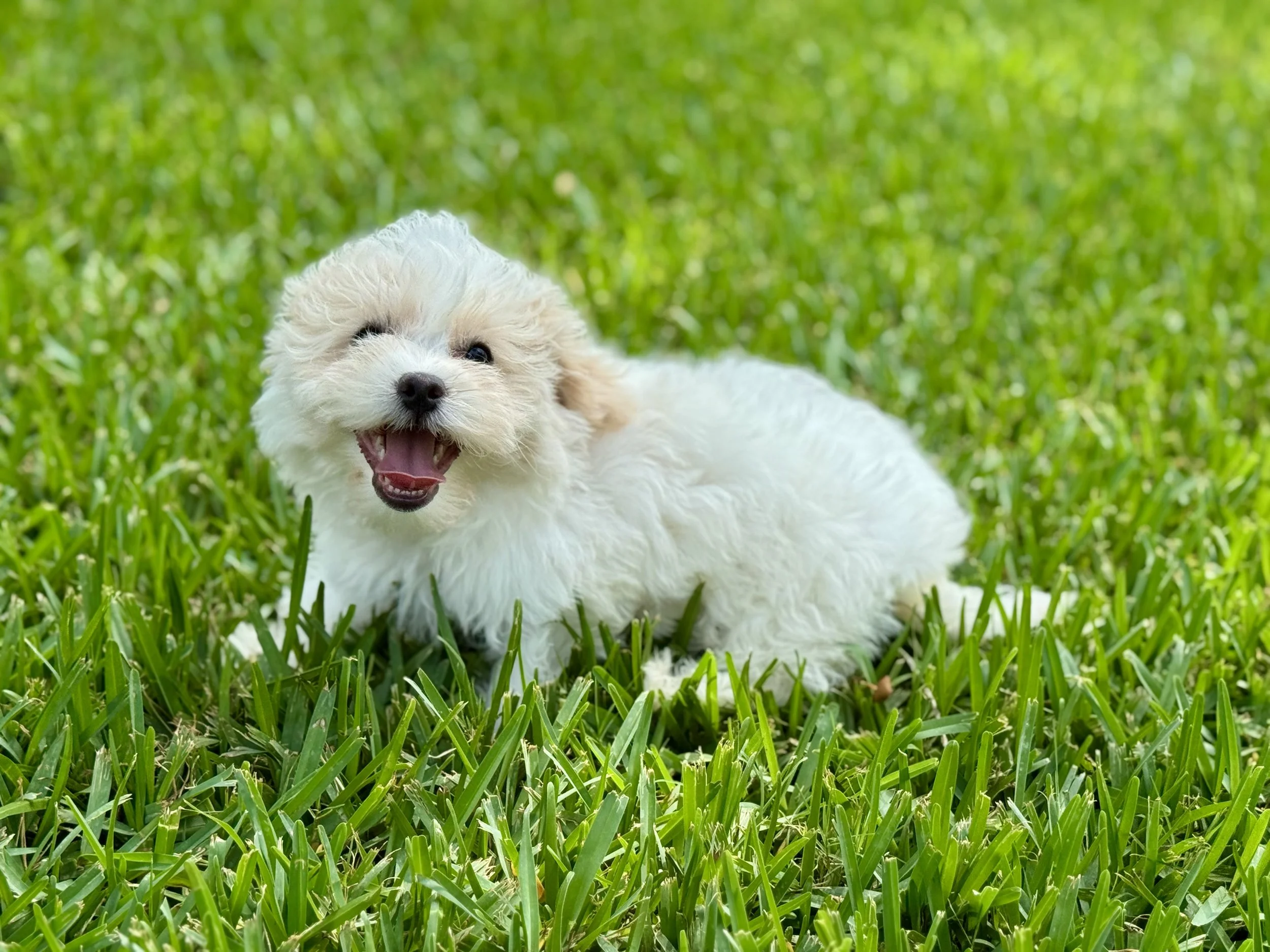 Photo Apr 27 2026, 12 23 45 PM.jpg