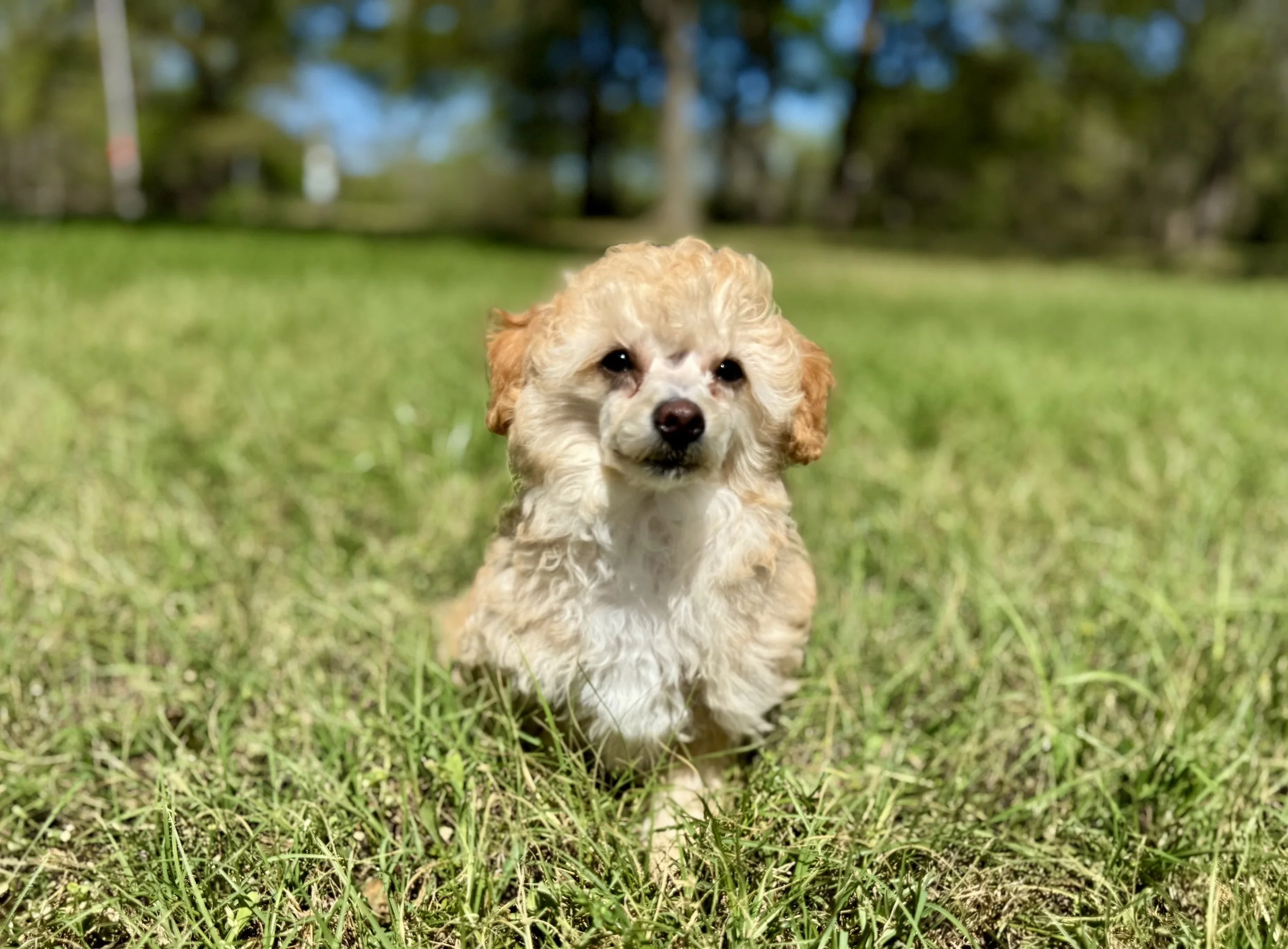 Photo Mar 22 2026, 2 34 30 PM.jpg