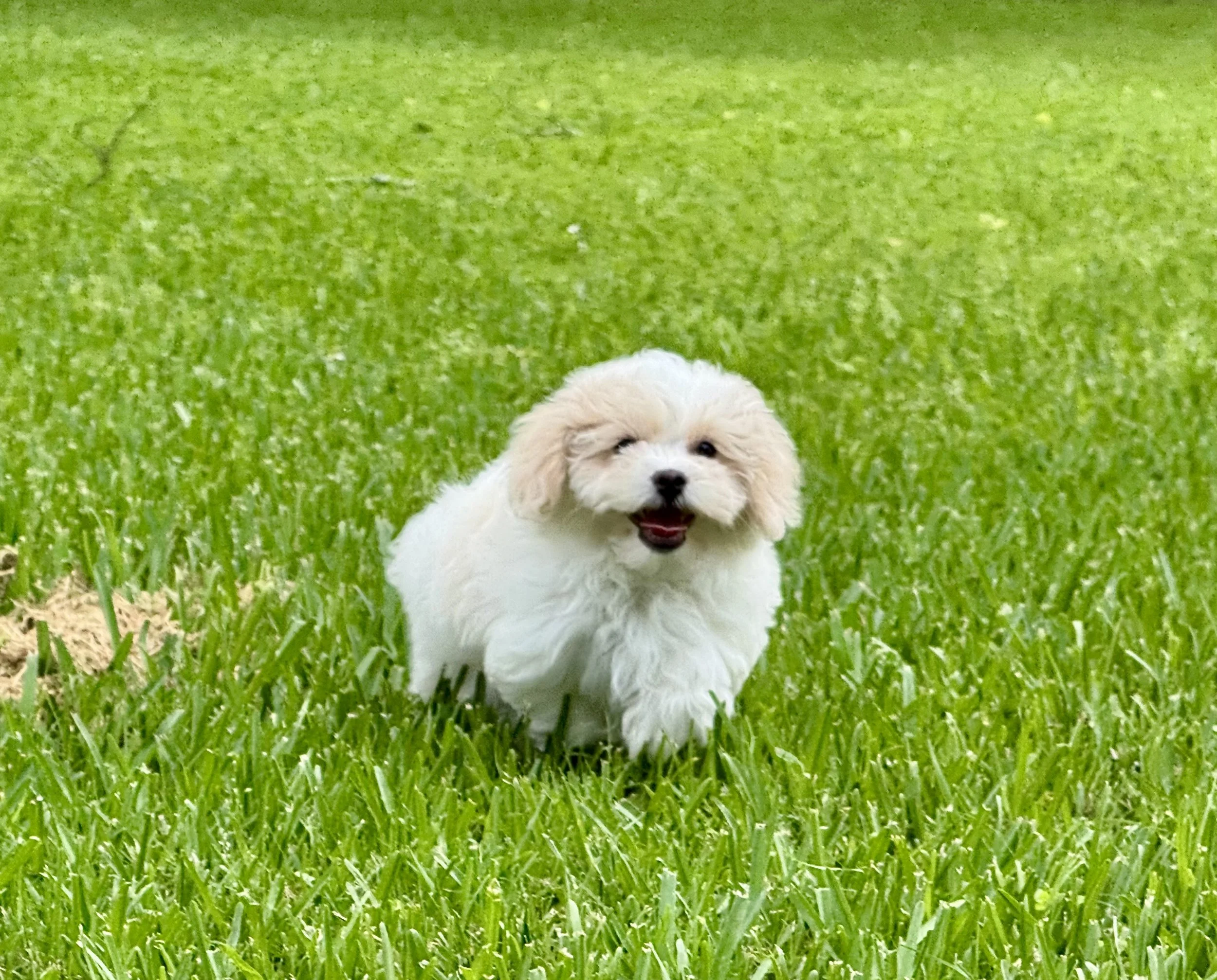 Photo Apr 27 2026, 12 19 10 PM.jpg