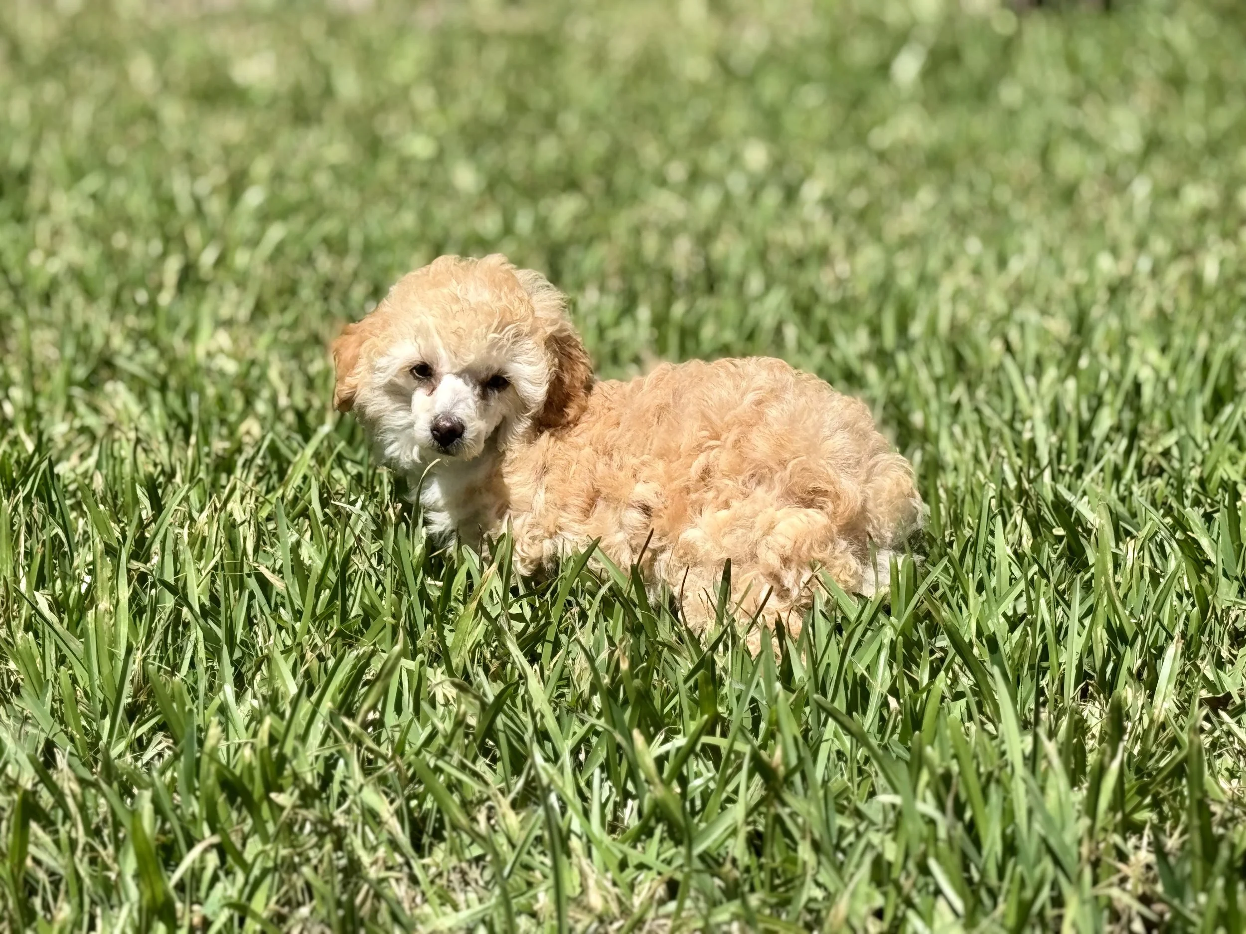 Photo Mar 22 2026, 2 32 22 PM.jpg