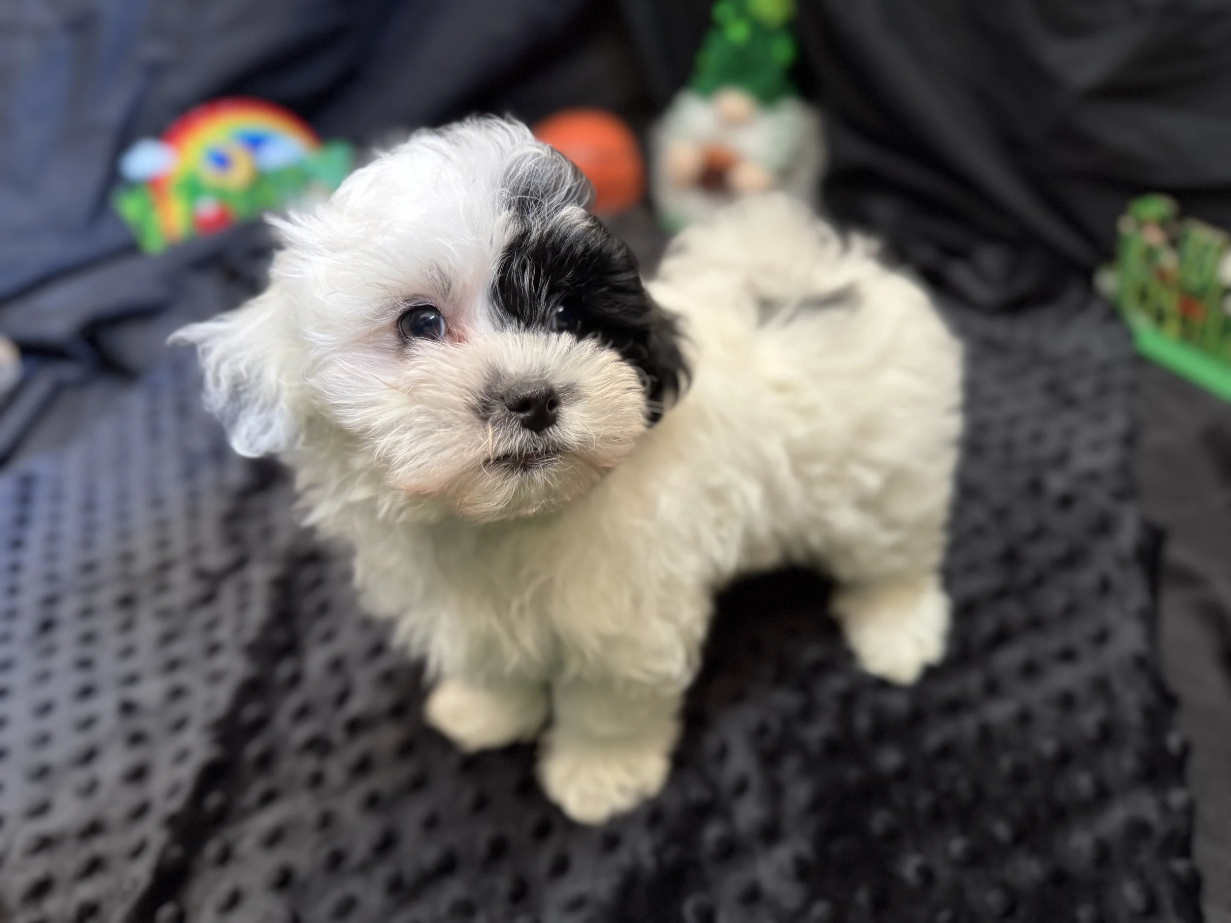 Photo Feb 22 2026, 11 53 48 AM.jpg