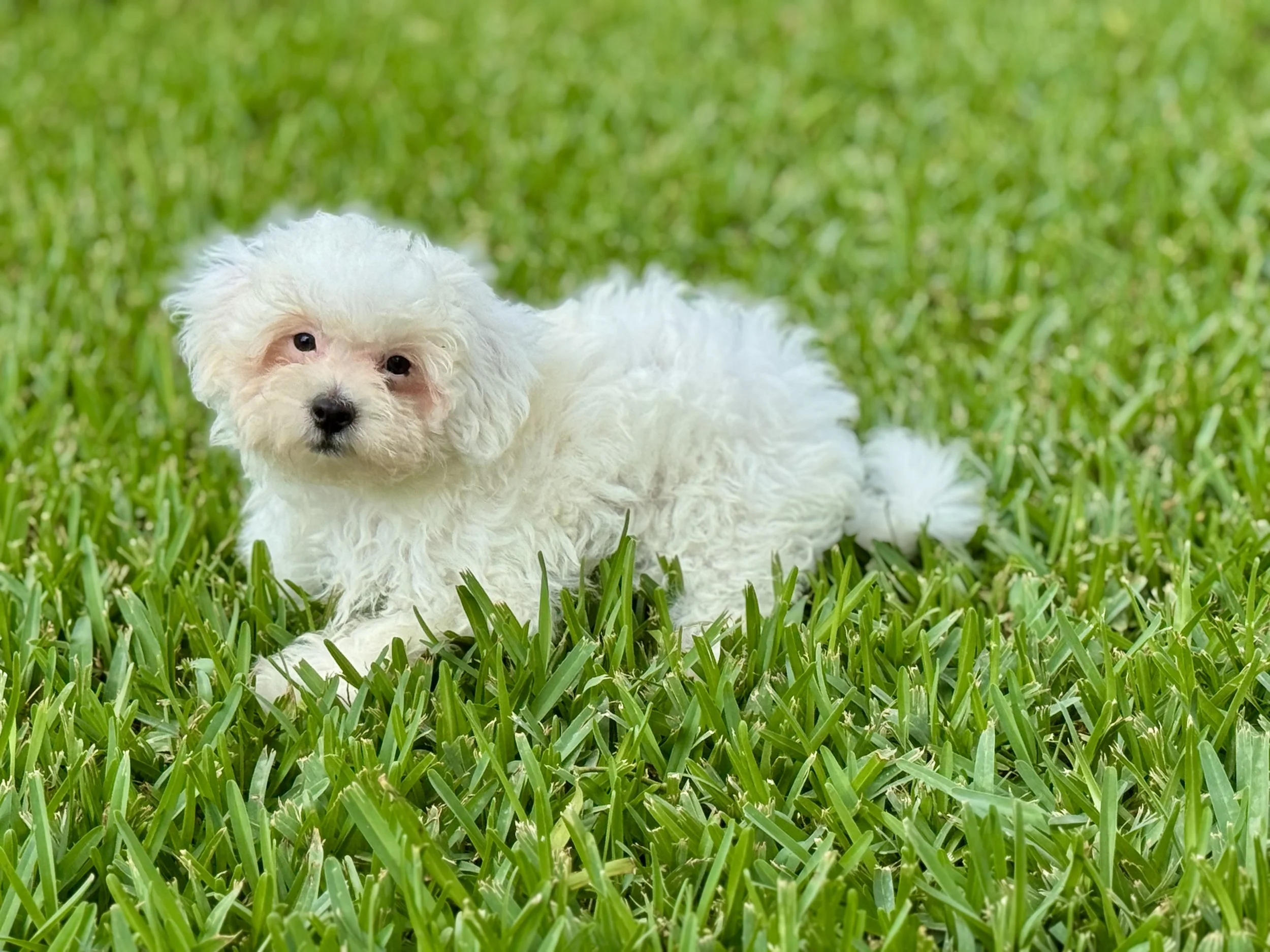 Photo Apr 27 2026, 12 25 37 PM.jpg