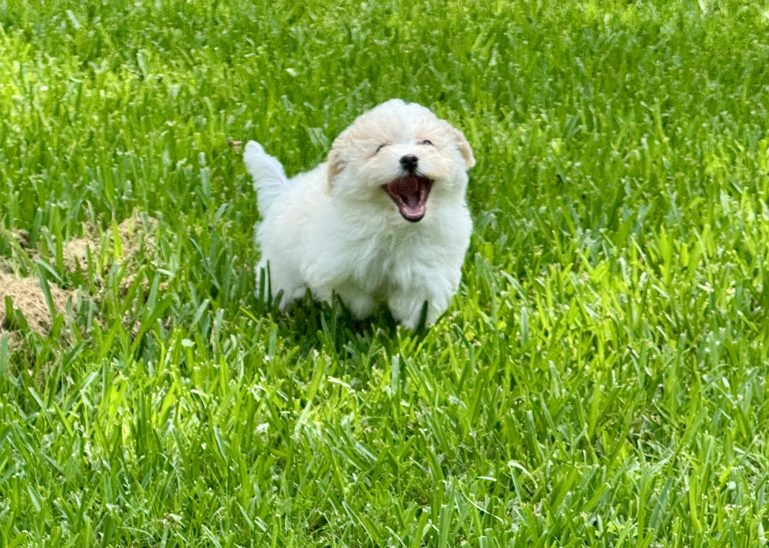 Photo Apr 27 2026, 12 21 28 PM.jpg