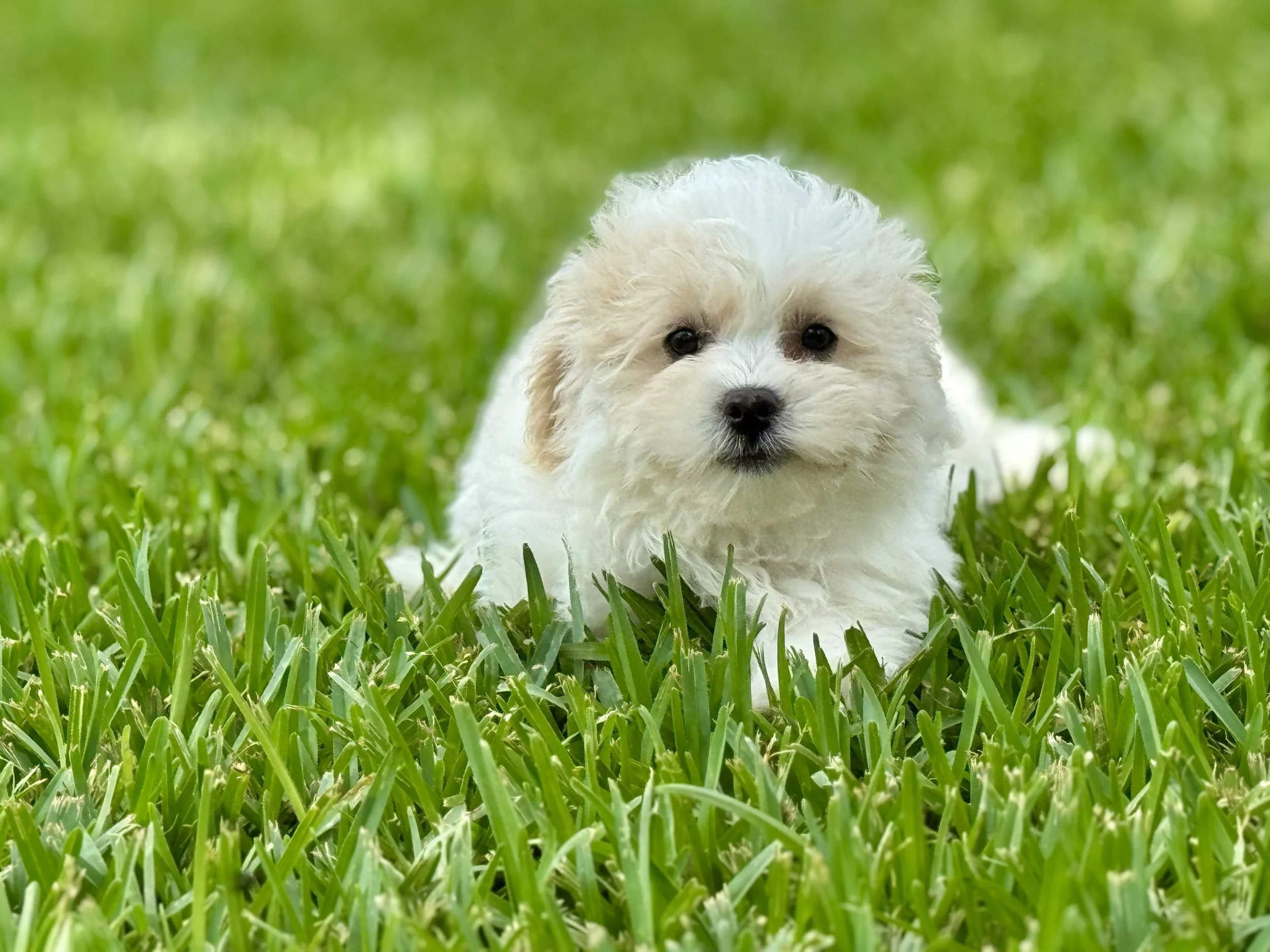 Photo Apr 27 2026, 12 16 12 PM.jpg