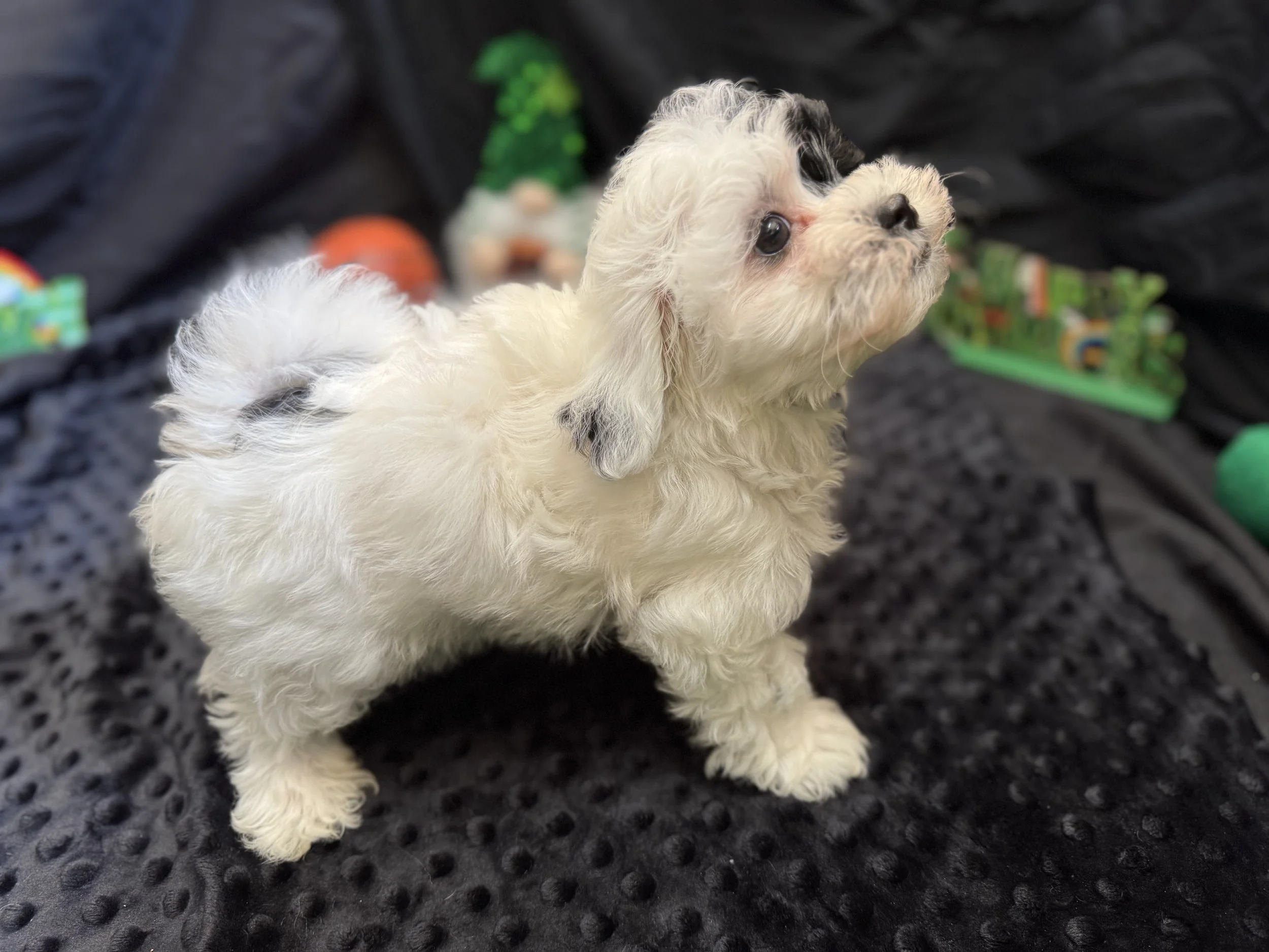 Photo Feb 22 2026, 11 54 09 AM.jpg