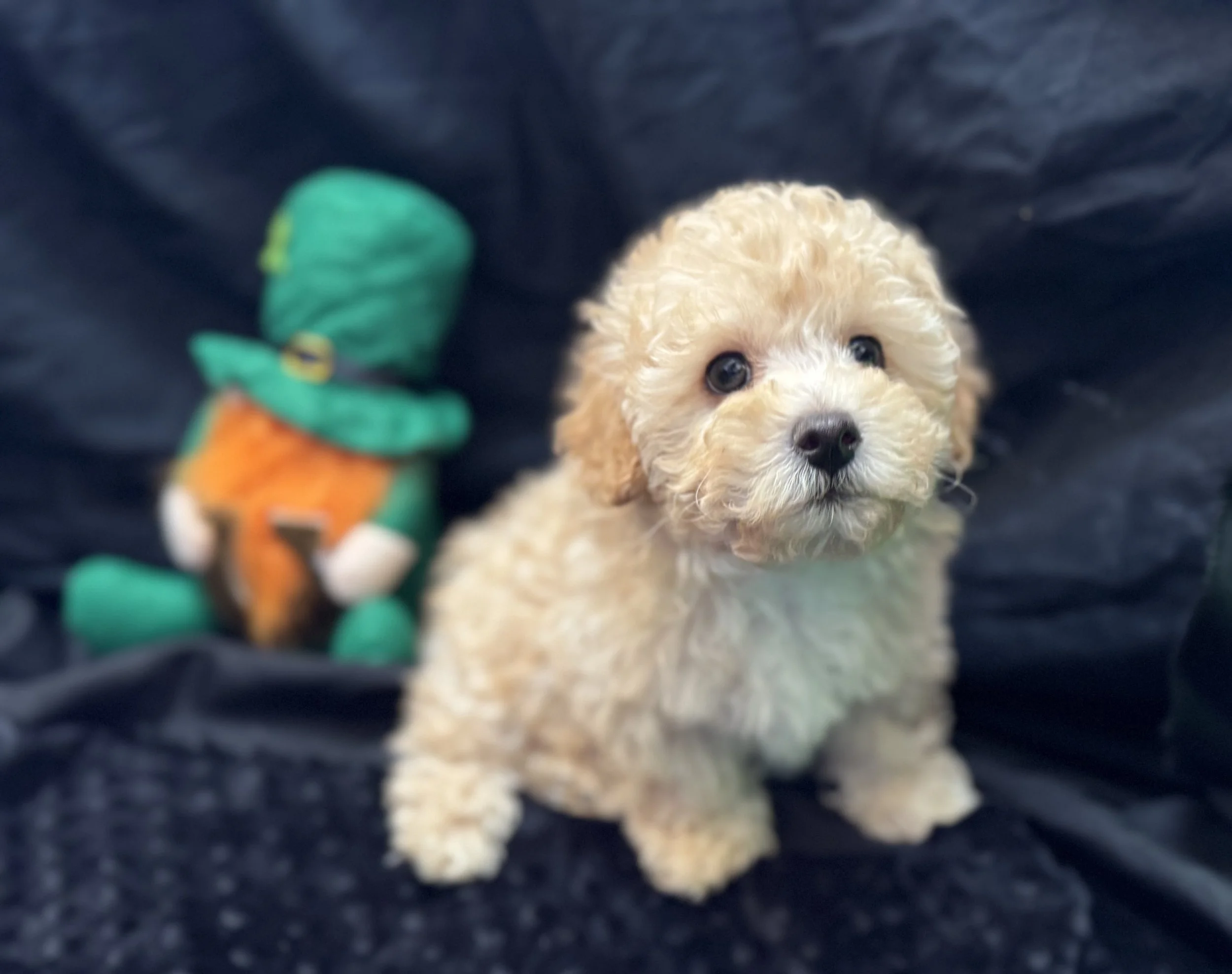 Photo Feb 22 2026, 11 58 59 AM.jpg