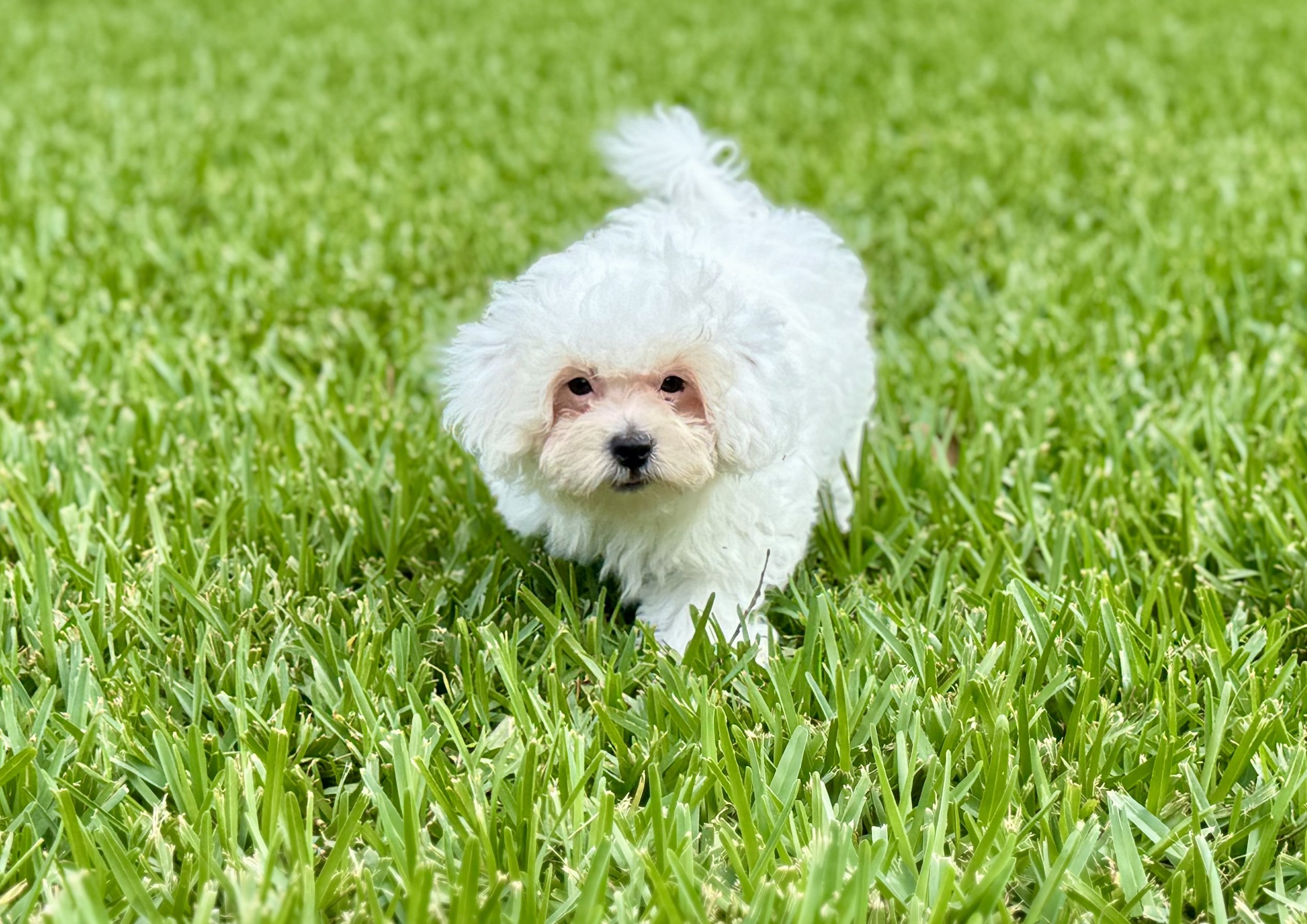 Photo Apr 27 2026, 12 27 36 PM.jpg