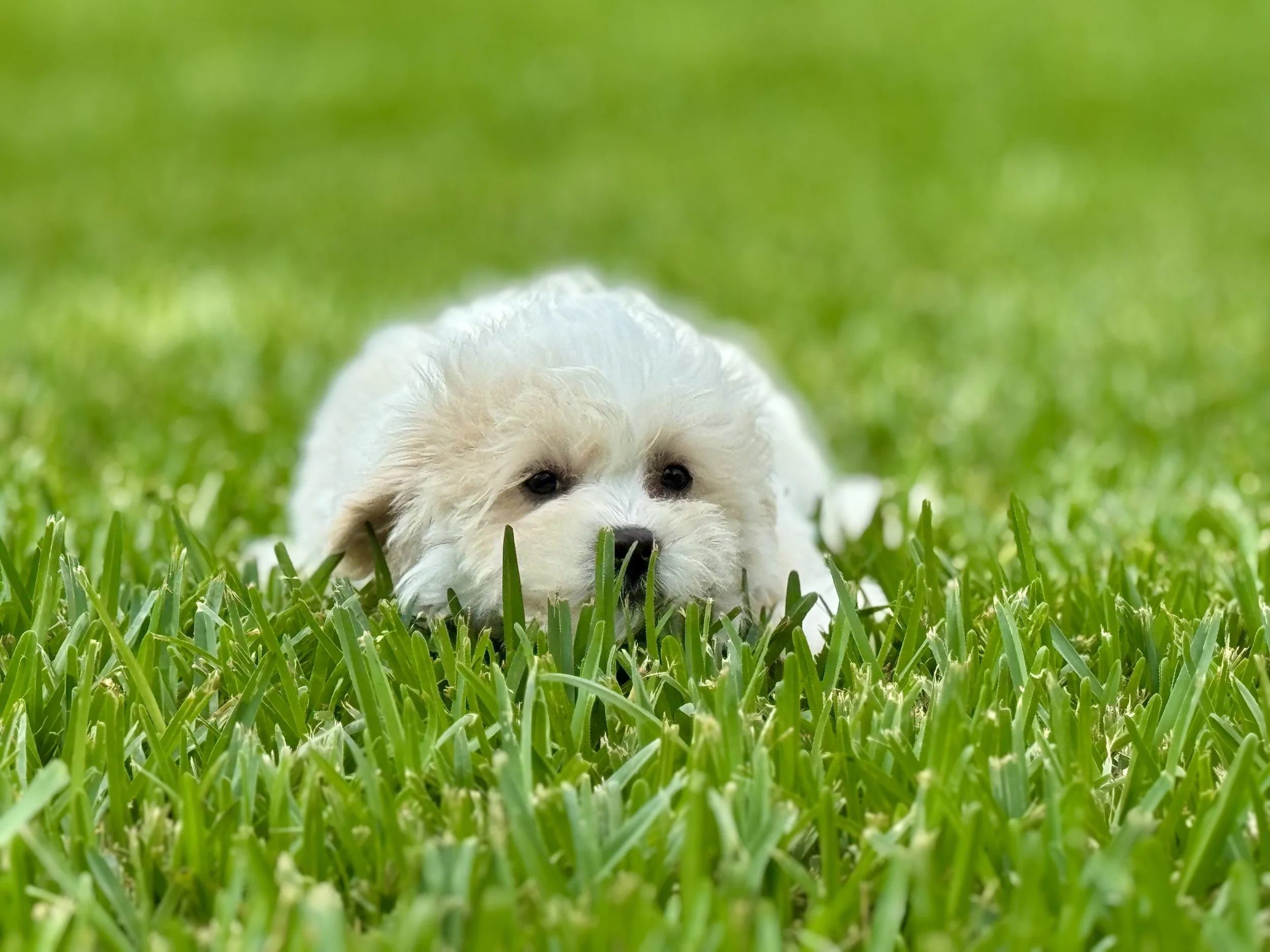 Photo Apr 27 2026, 12 16 08 PM (1).jpg