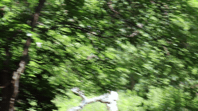 June 29, 2024: Eli Smith/Rick Ollman ● Raquel Gonzalez ● FRIEND (Jon Mueller/Andy Fitzpatrick)