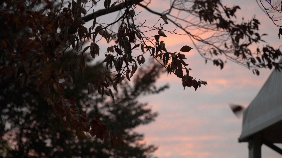 Screen Shot 2026-04-26 at 11.35.46 AM.png