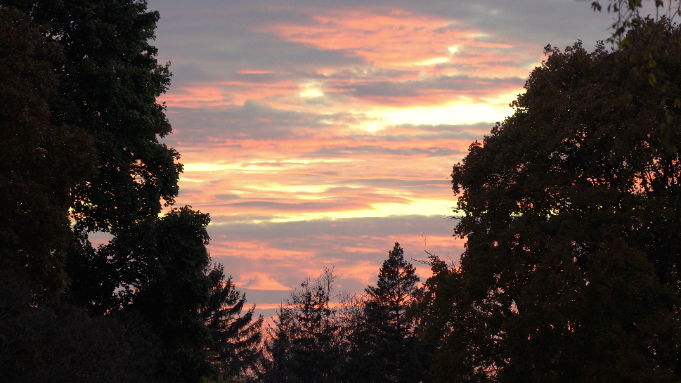 Screen Shot 2026-04-26 at 11.35.57 AM.png