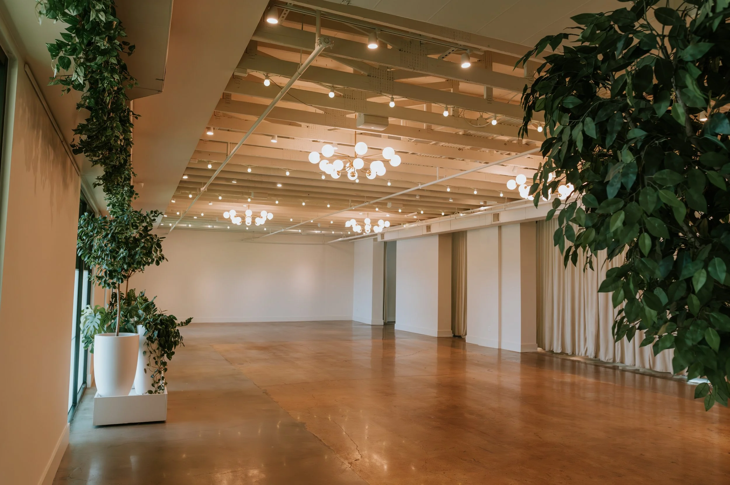 Empty Conservatory with potted trees, tall windows, globe chandeliers and glossy concrete floors