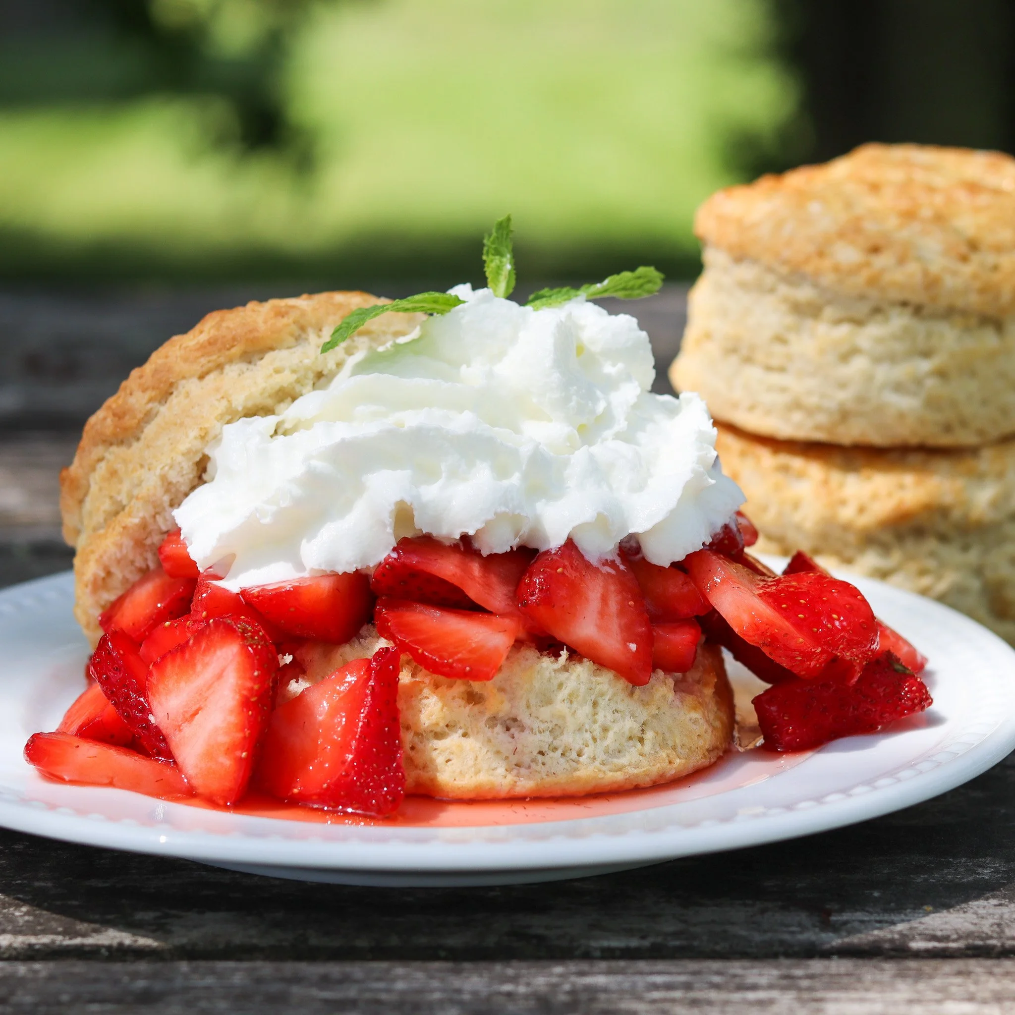 Strawberry shortcake 1.jpg