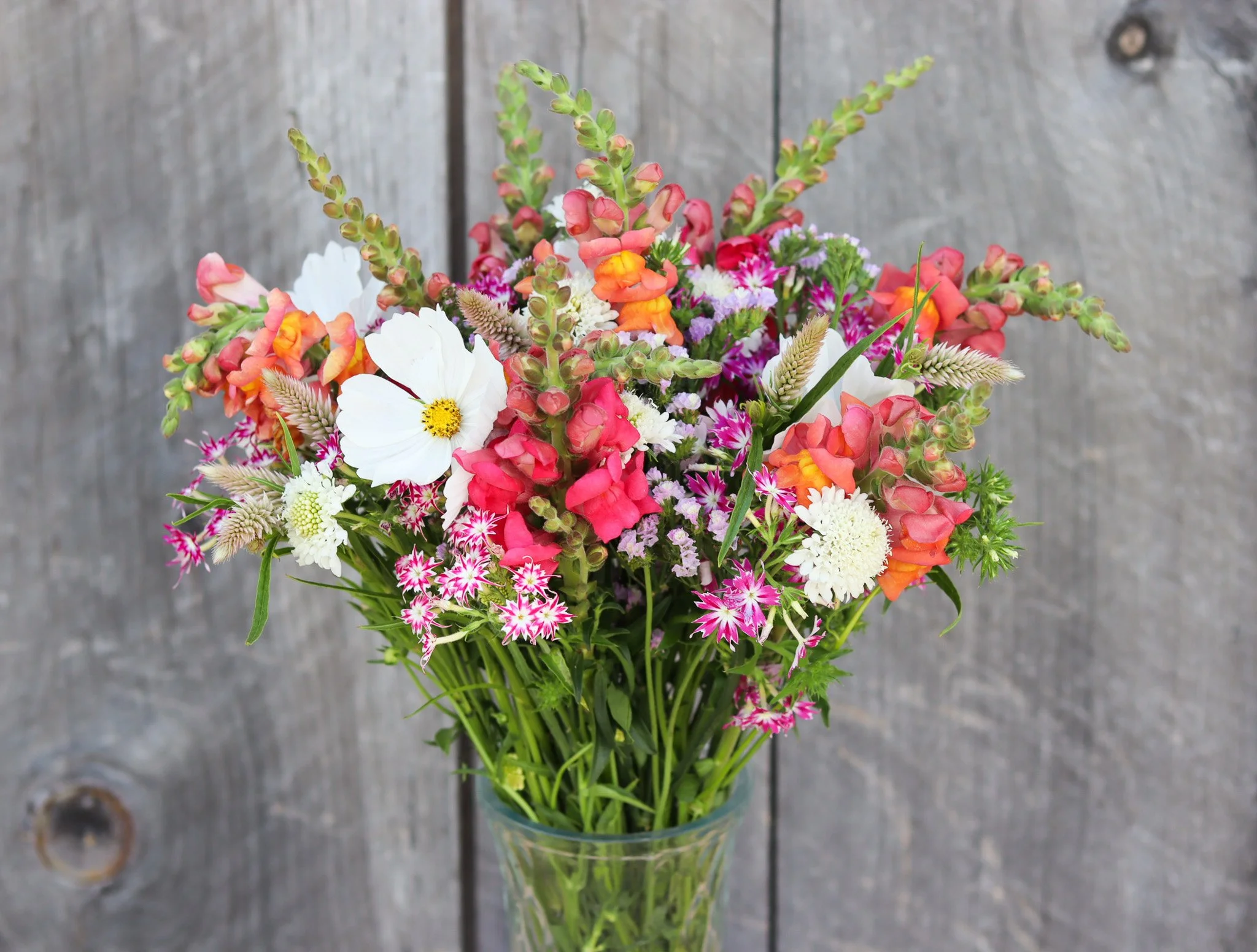 WBF Fancy Field Bouquet (1).jpg