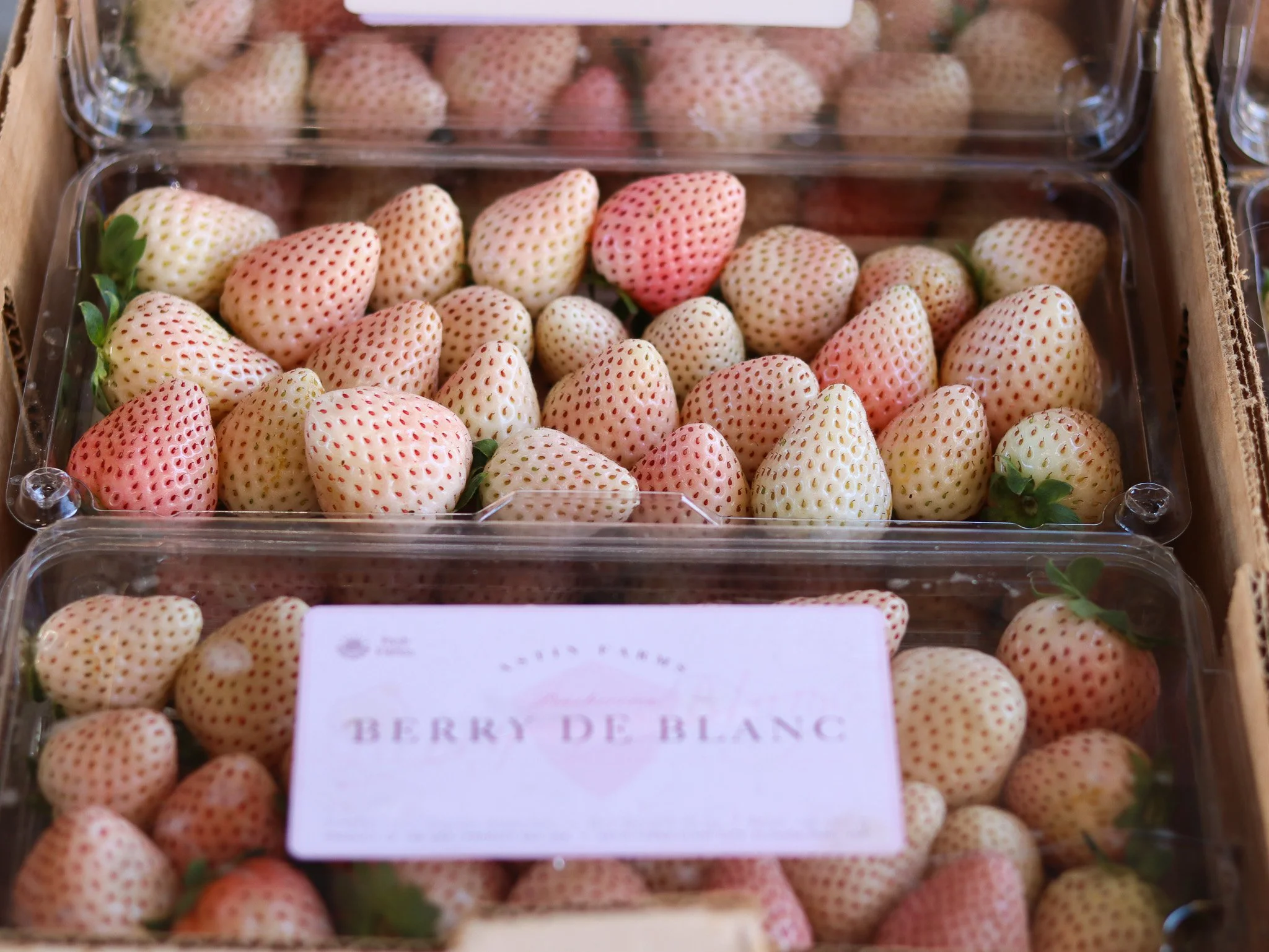 Pineberries 5.jpg
