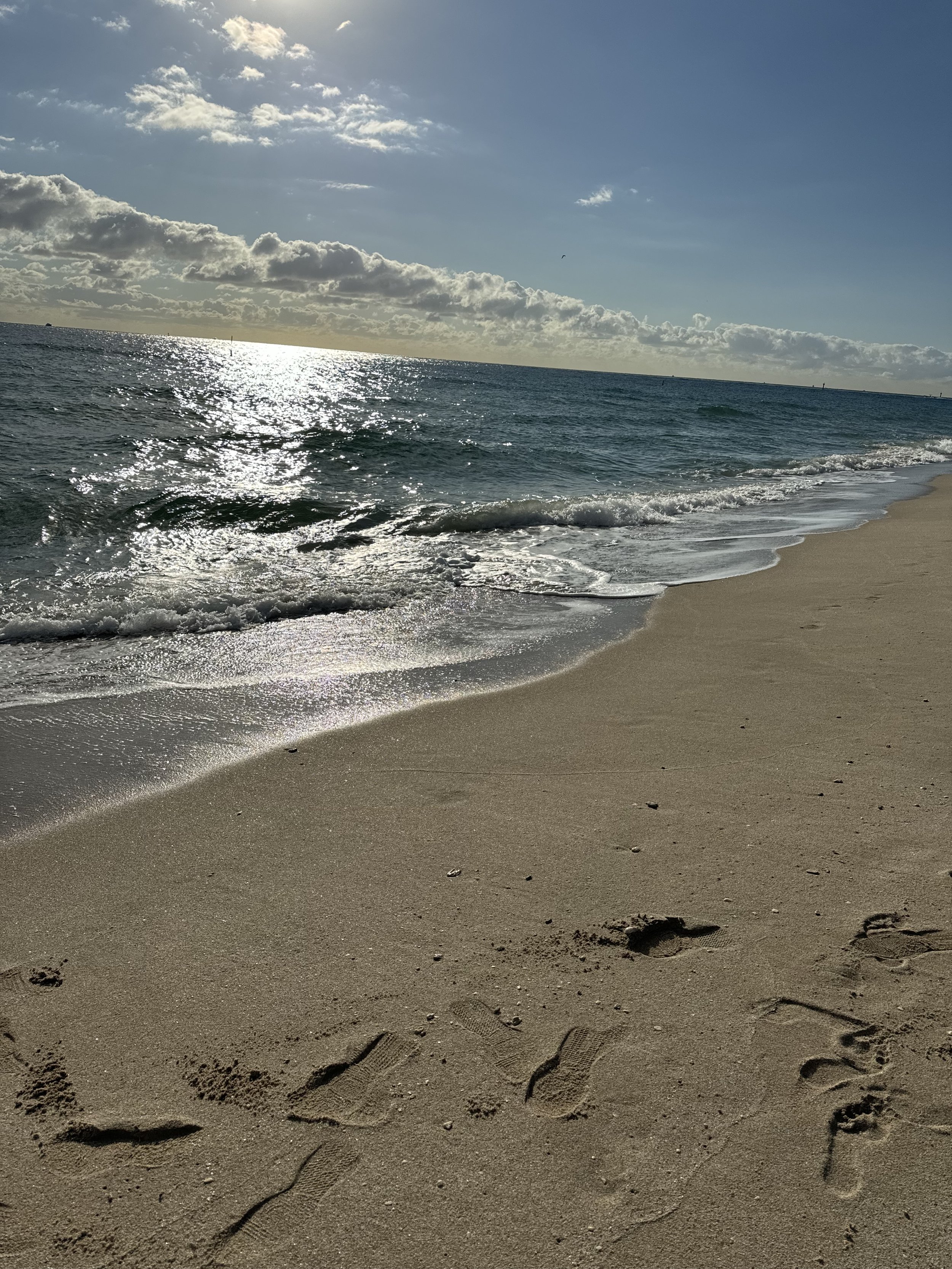 IMG_4681.jpeg