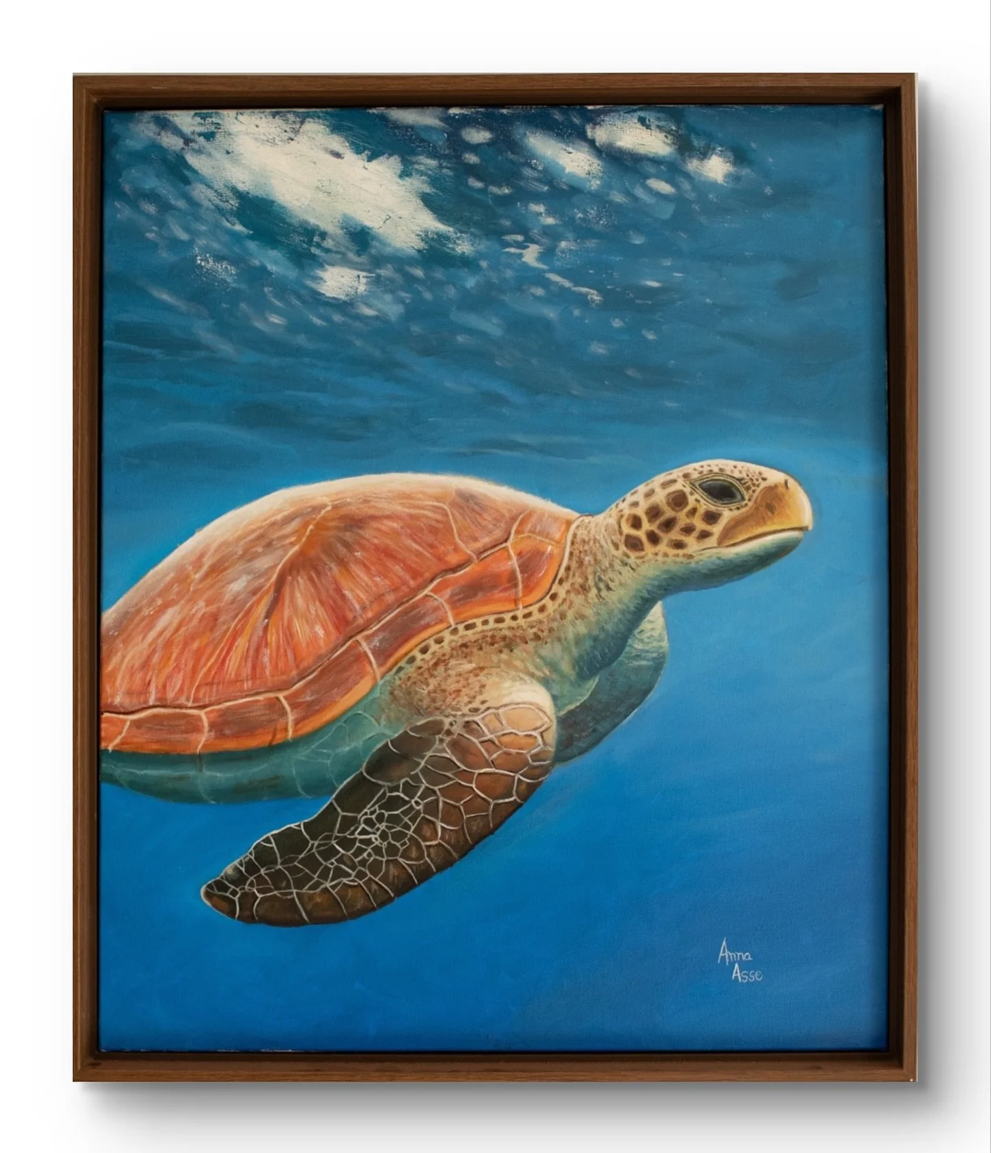 Tartaruga 🐢 

✼ &Oacute;leo sobre tela 54cm X 64cm
✼ Dispon&iacute;vel para venda/encomenda
✼ Entrega/retirada gr&aacute;tis em S&atilde;o Jos&eacute; do Rio Preto 
✼ Entrega para o Brasil todo via correios 
✼ Todas as telas podem ser feitas com ou 