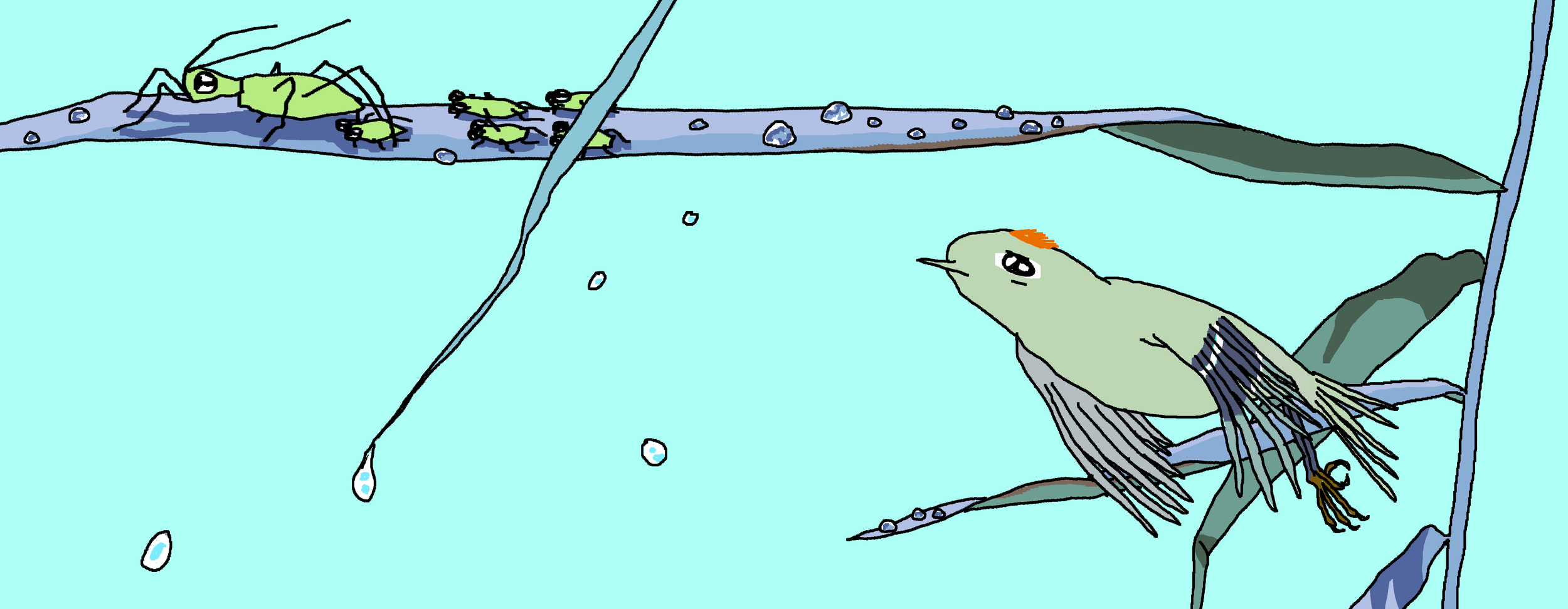 Ruby crowned Kinglet