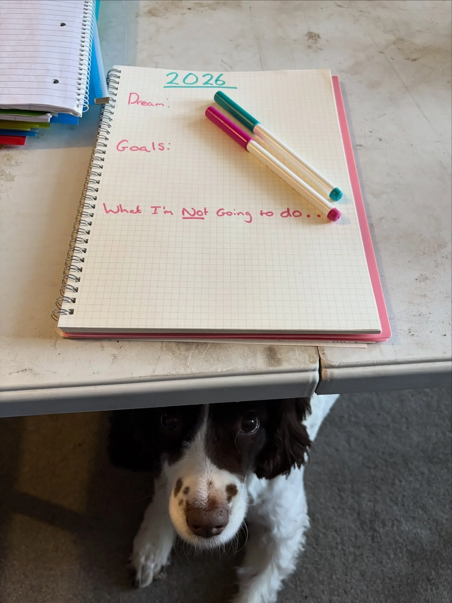 I&rsquo;ve been a little quiet&hellip;
Not because nothing&rsquo;s happening &mdash; but because a lot is.

Pens out. Pages filling up.
Looking hard at what worked, what didn&rsquo;t, and what I&rsquo;m not taking with me into 2026.

Dreaming big, bu