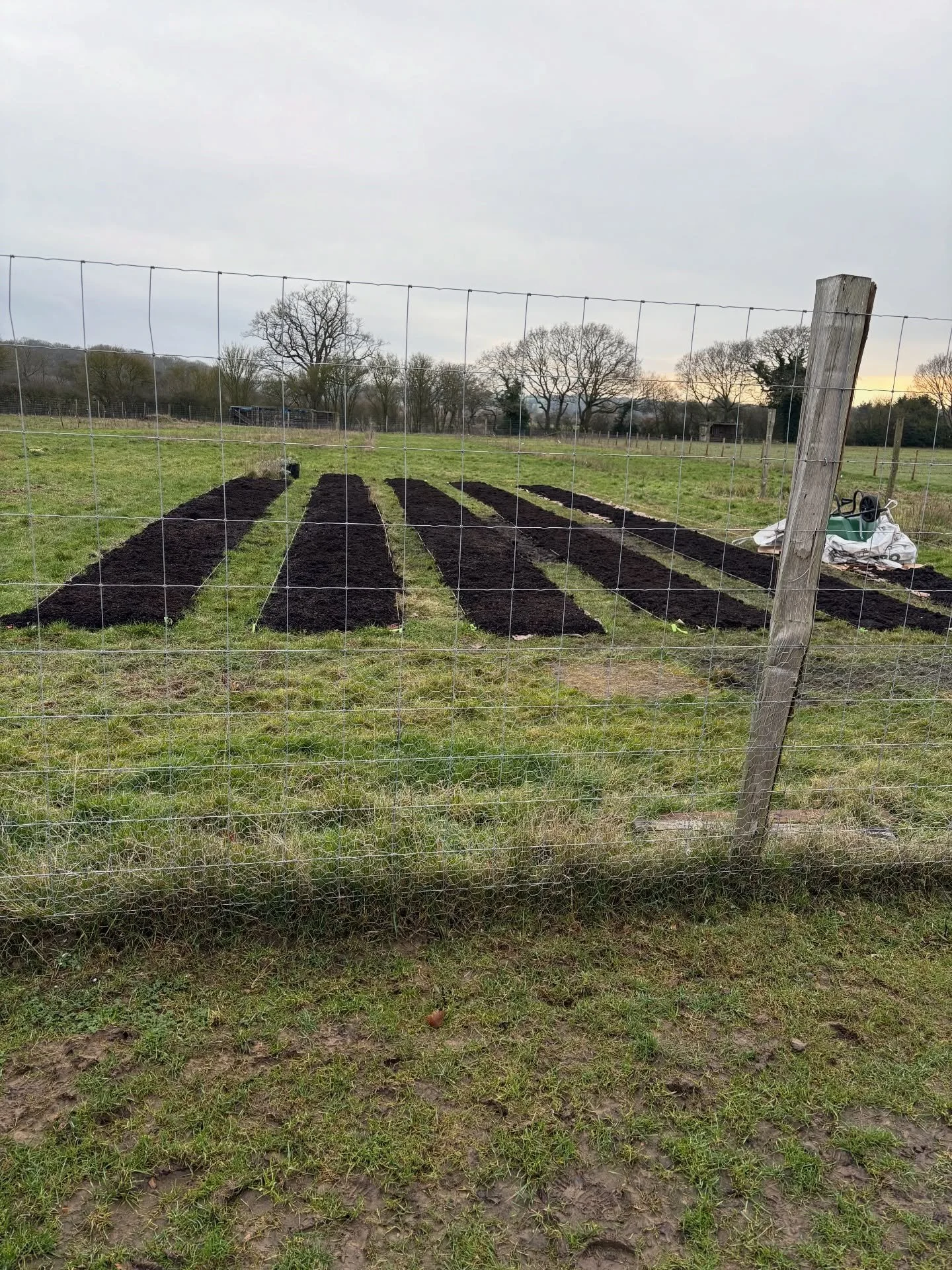 The Boss came to inspect Dad&rsquo;s bed-making skills today!
She was pleased to report that all 6 tonnes of @field_compost have officially been used&hellip; 🫣
Which probably means we&rsquo;re going to need more 😬
(Sorry, Elliot 🥲)

But honestly, 