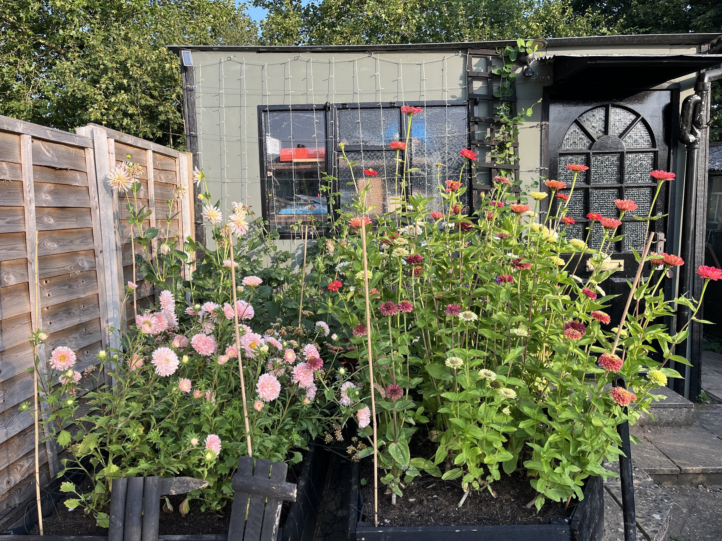 Hadleigh Hidden Gardens 