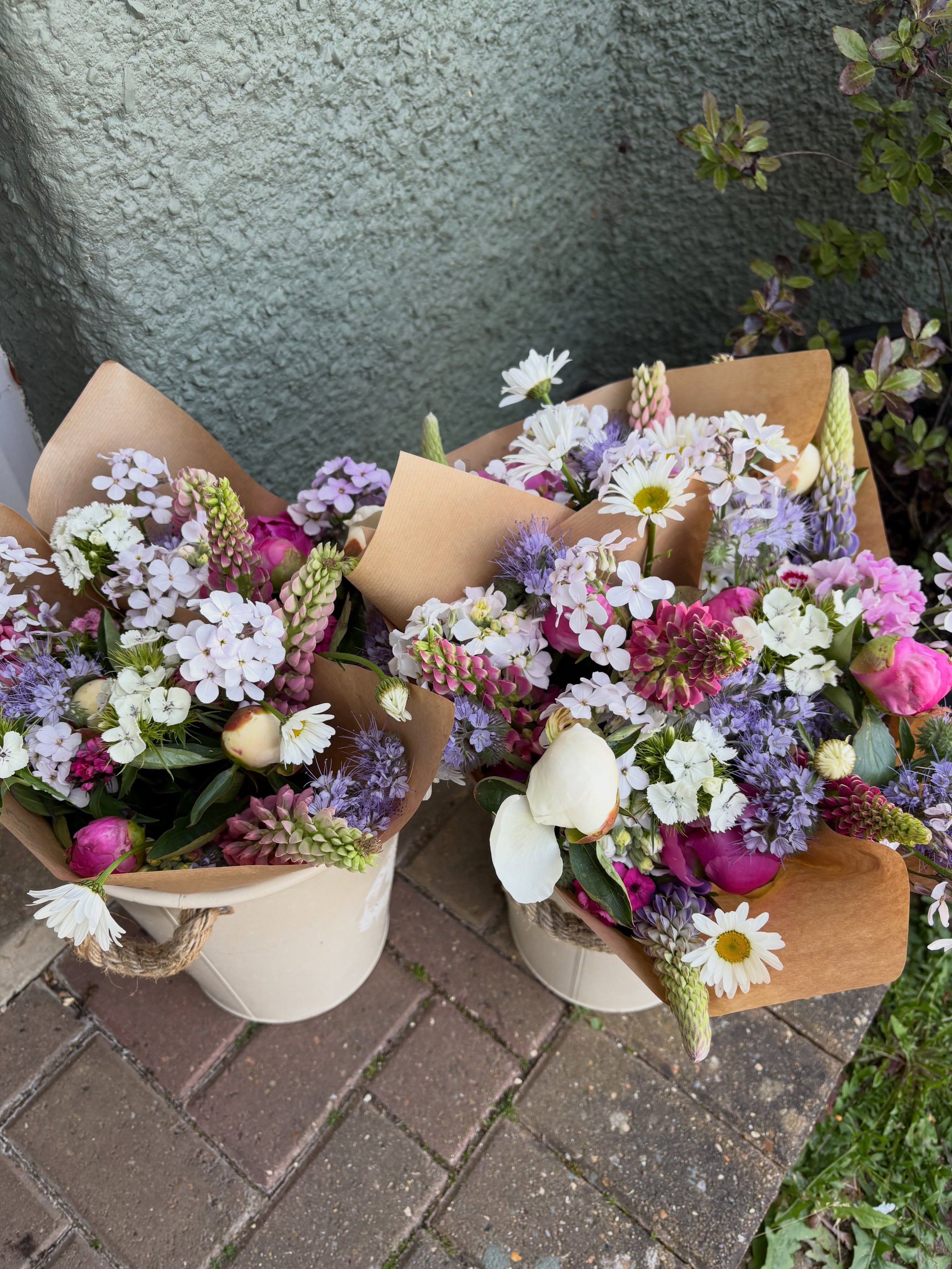 It feels like such a long time since there&rsquo;s been flowers on the stand&hellip; but we&rsquo;re back today!!

Today&rsquo;s buckets are full of peonies, lupin, stock, Sweet William, sweet rocket, phacelia and daisies &mdash; all locally grown an